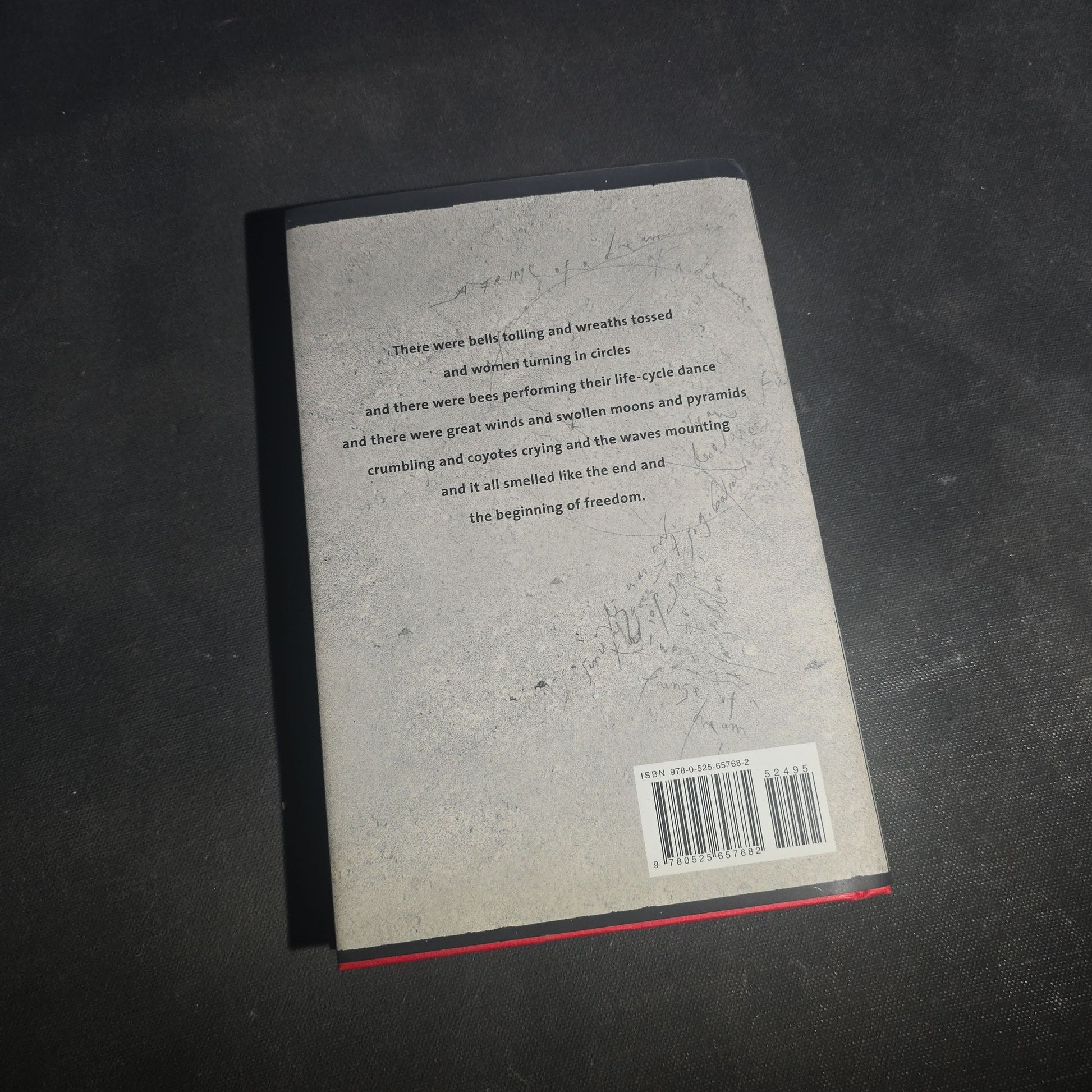 Pair of Modern Patti Smith Books including "Camera Solo" and "Year of the Monkey"