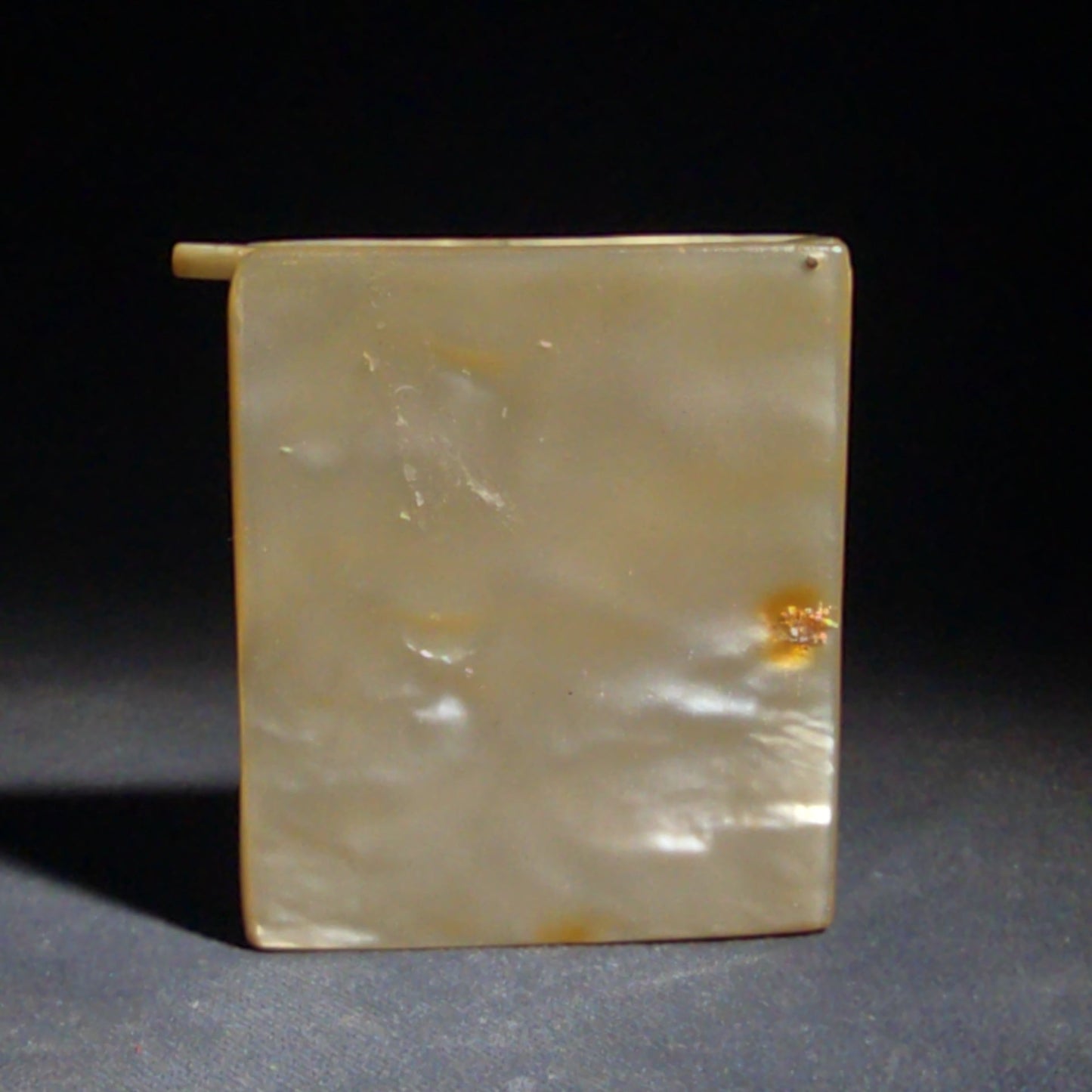 Vintage Mother-of-Pearl Cigarette Case with Brass Banding and Flat Handle