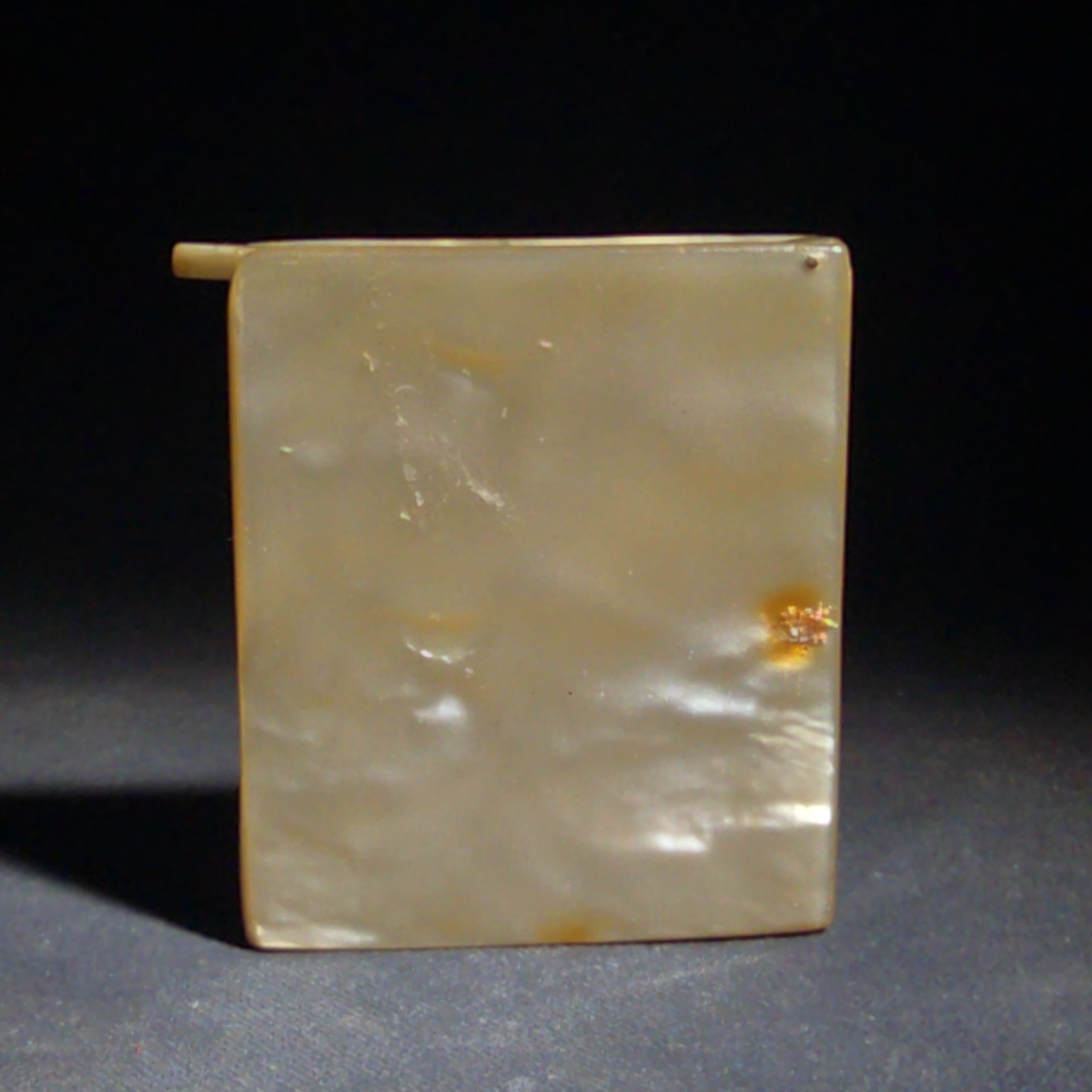 Vintage Mother-of-Pearl Cigarette Case with Brass Banding and Flat Handle
