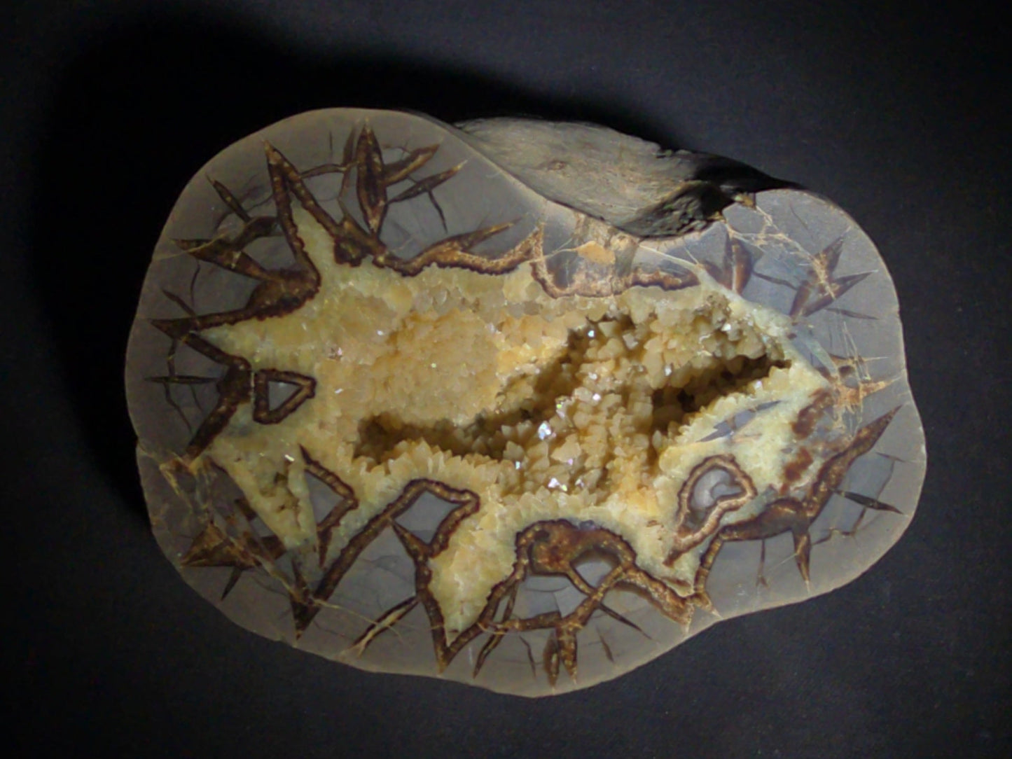 Septarian geode Nodule with Calcite Crystal Cavity and Brown Aragonite Veining, Cut and Polished