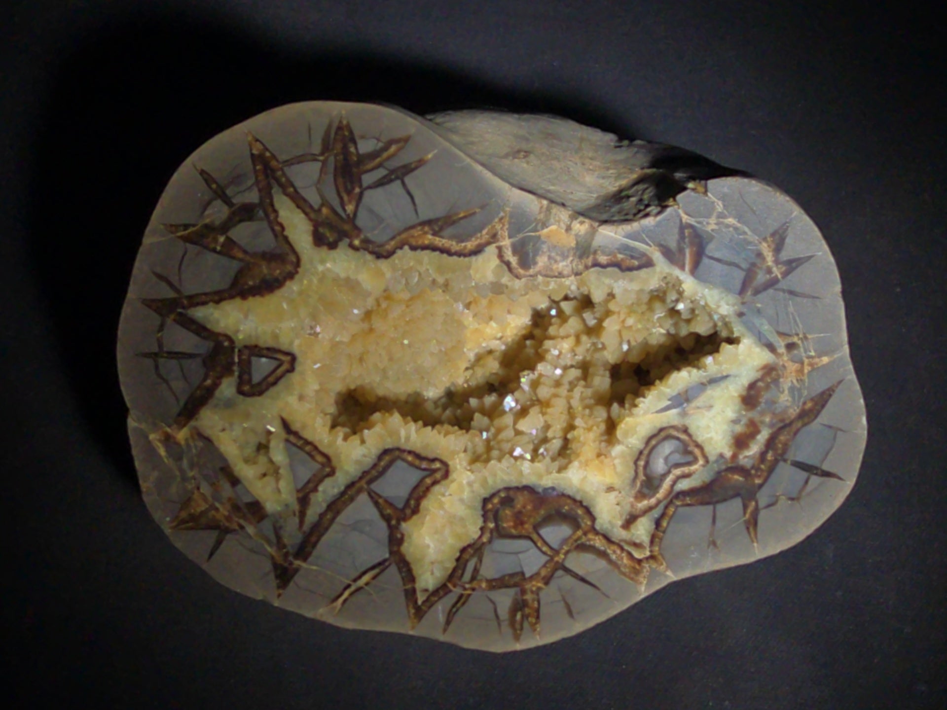 Septarian geode Nodule with Calcite Crystal Cavity and Brown Aragonite Veining, Cut and Polished