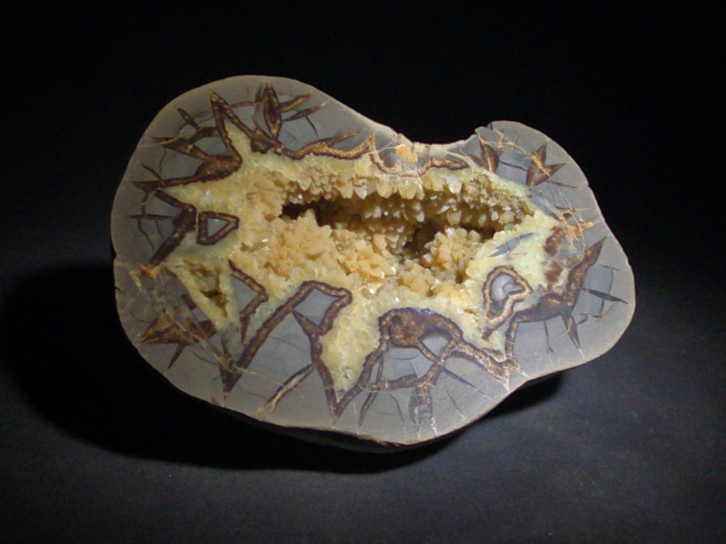 Septarian geode Nodule with Calcite Crystal Cavity and Brown Aragonite Veining, Cut and Polished