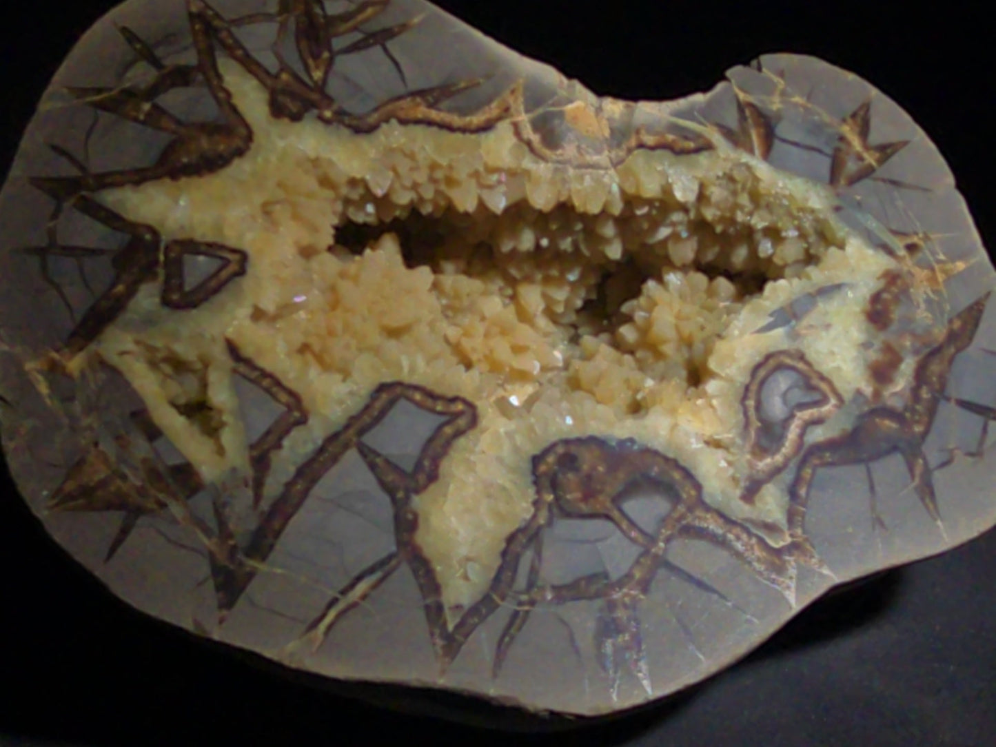 Septarian geode Nodule with Calcite Crystal Cavity and Brown Aragonite Veining, Cut and Polished