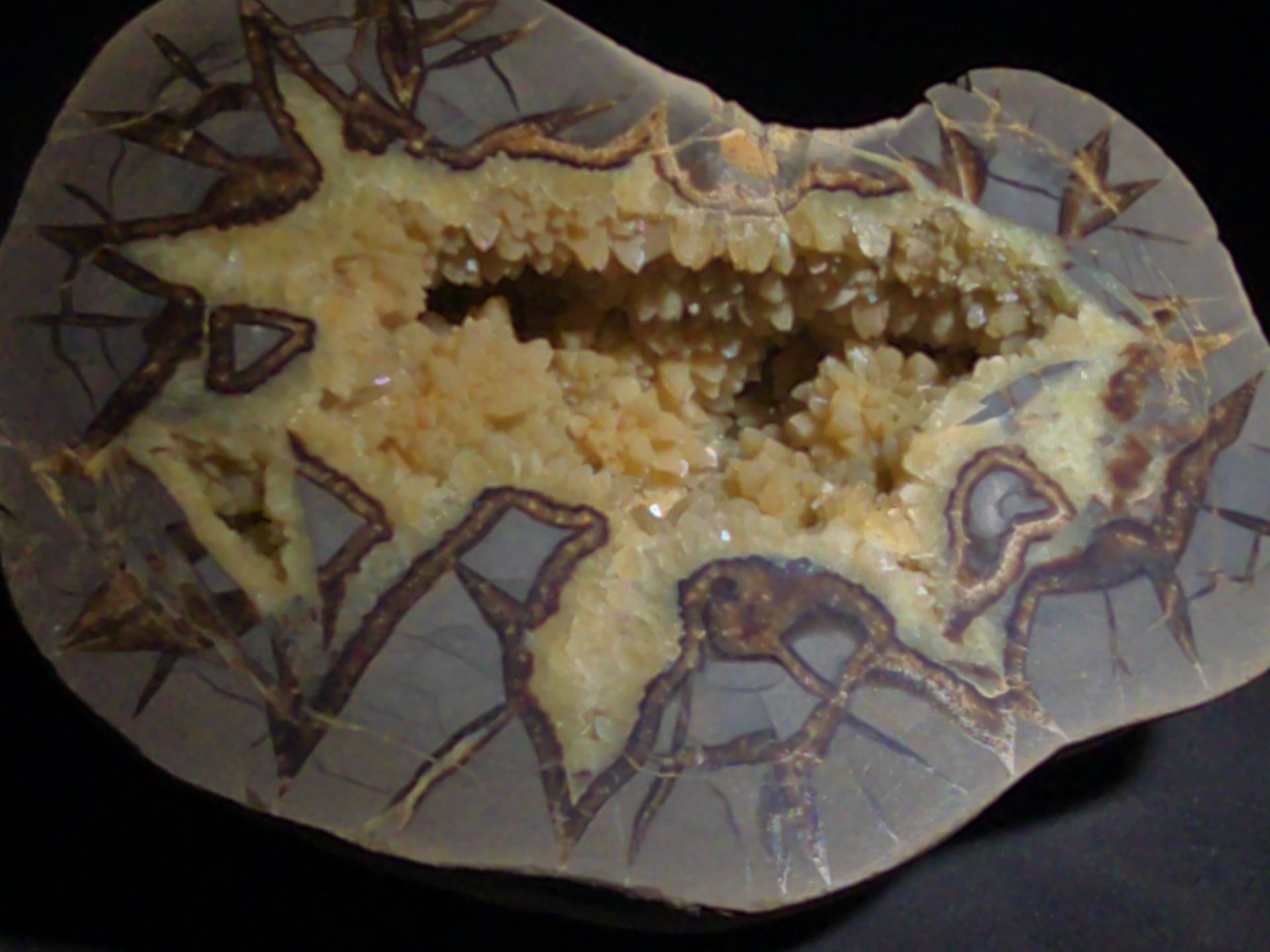 Septarian geode Nodule with Calcite Crystal Cavity and Brown Aragonite Veining, Cut and Polished
