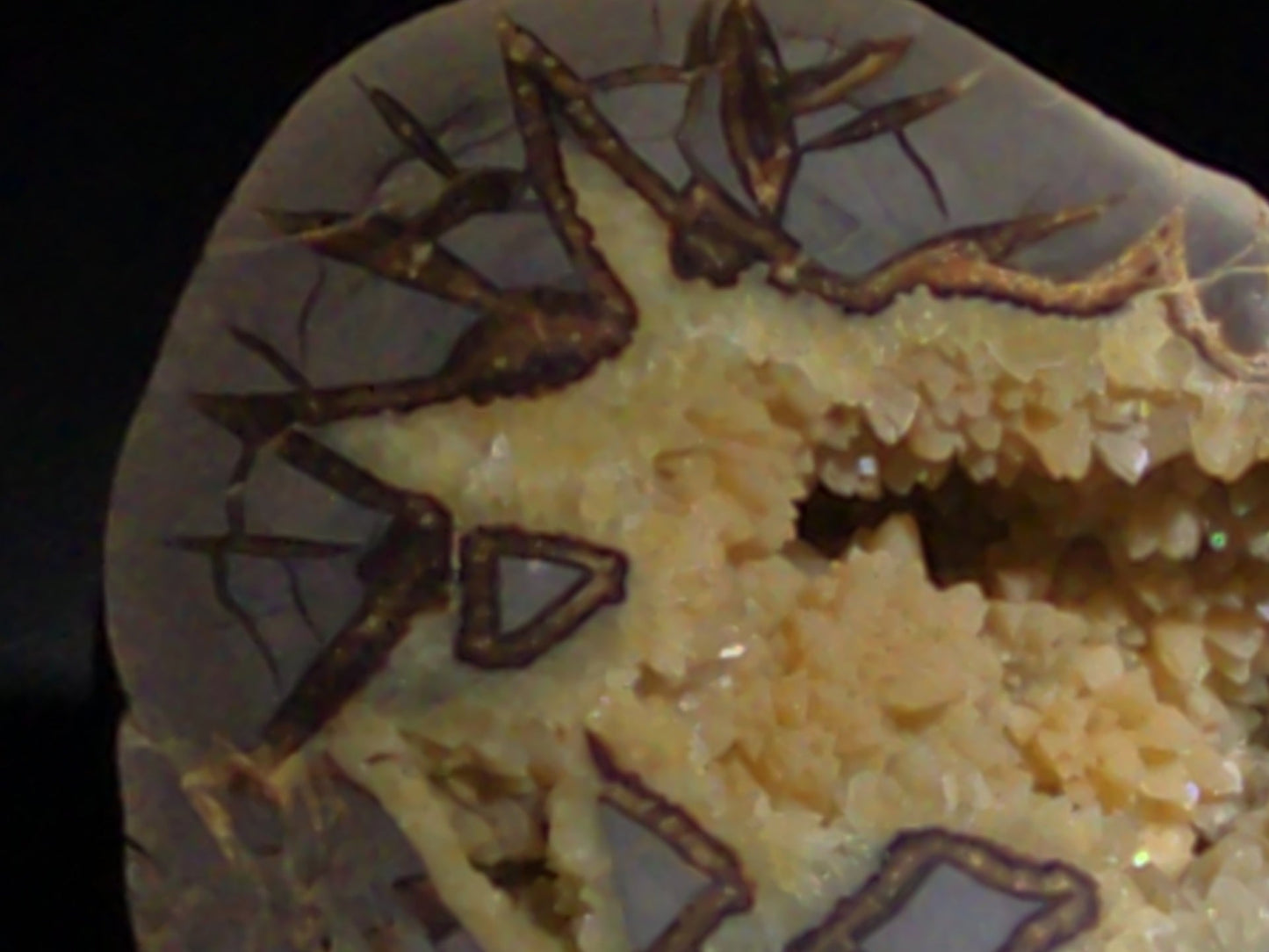 Septarian geode Nodule with Calcite Crystal Cavity and Brown Aragonite Veining, Cut and Polished