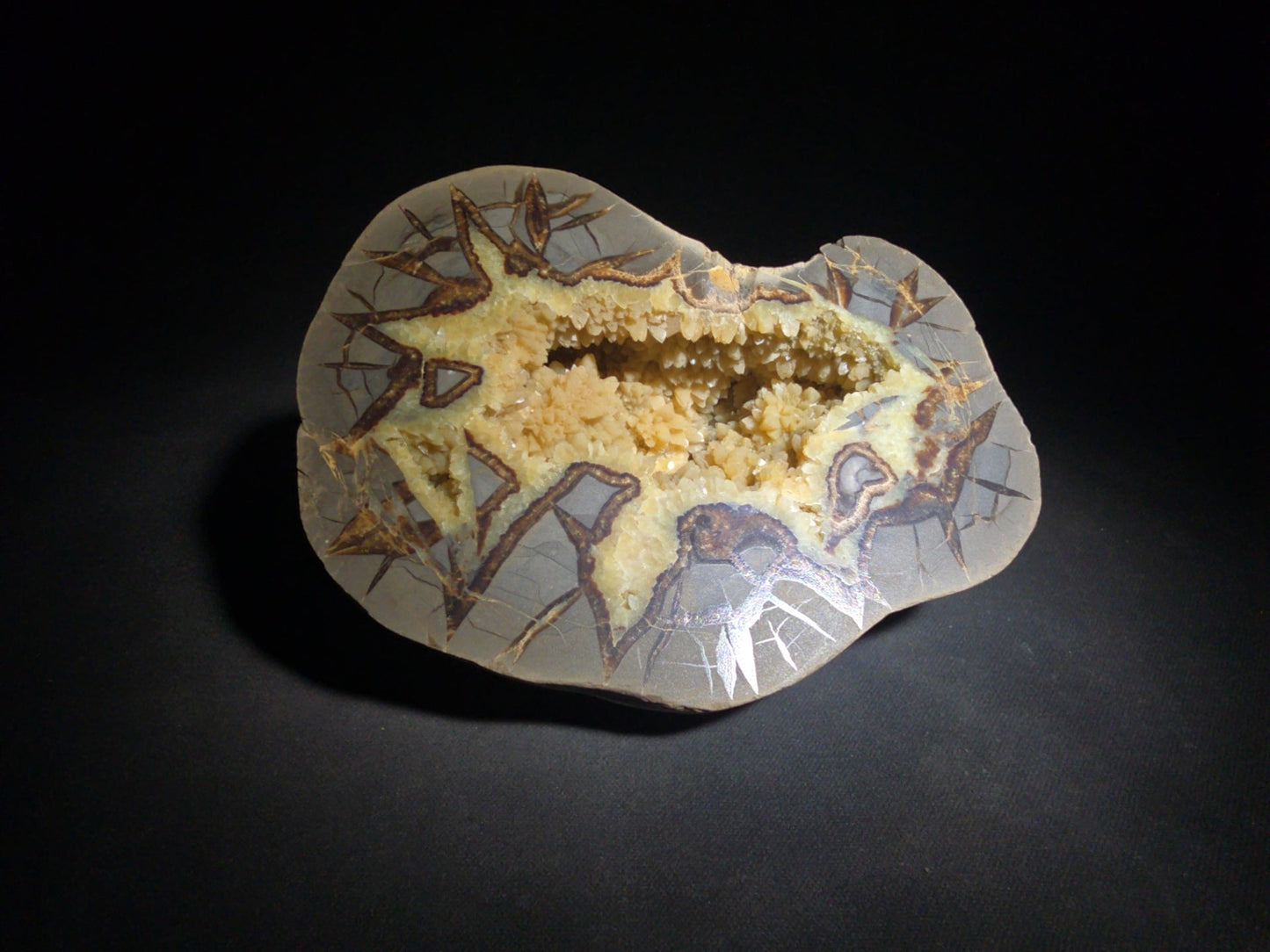 Septarian geode Nodule with Calcite Crystal Cavity and Brown Aragonite Veining, Cut and Polished