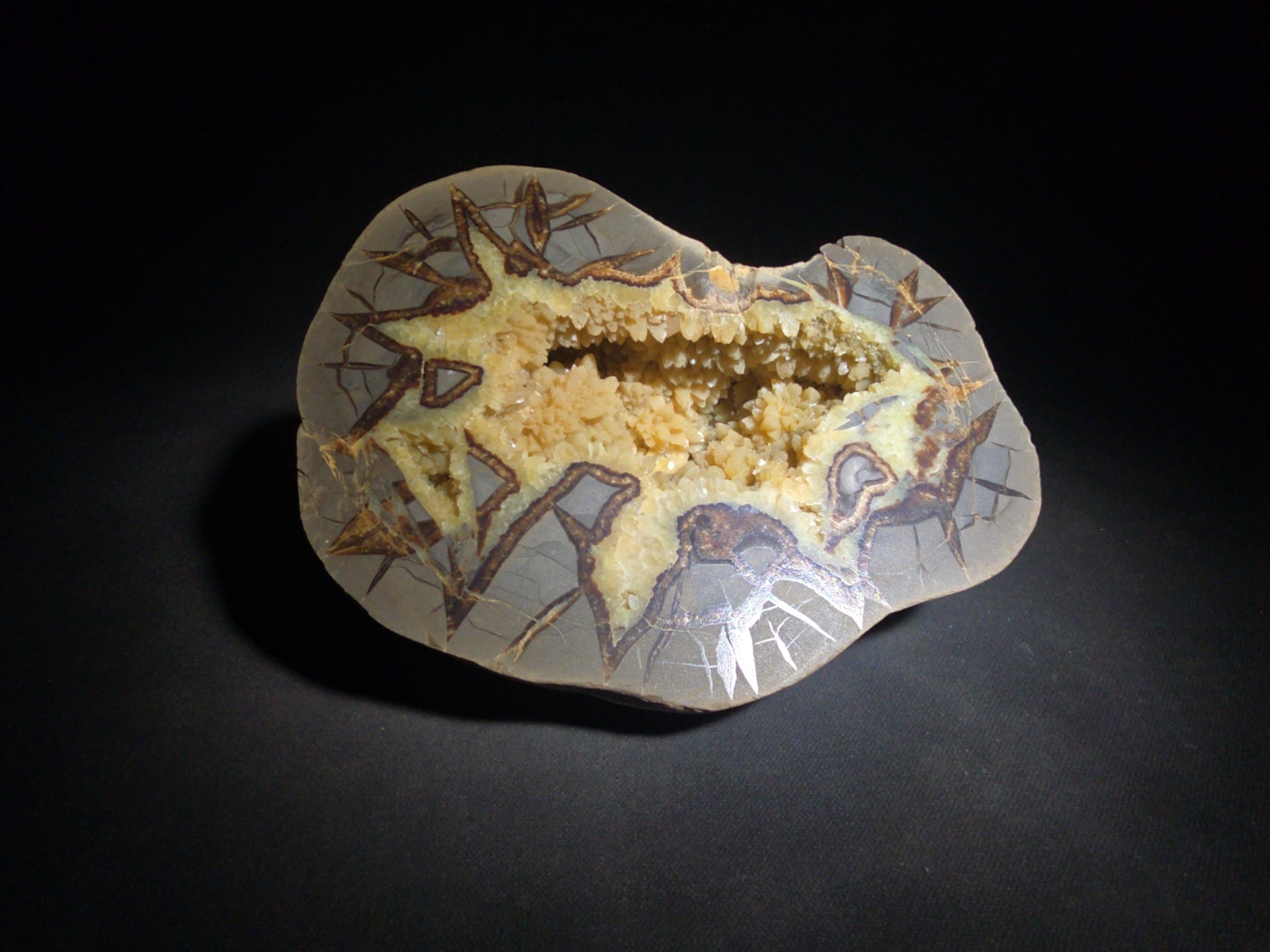 Septarian geode Nodule with Calcite Crystal Cavity and Brown Aragonite Veining, Cut and Polished