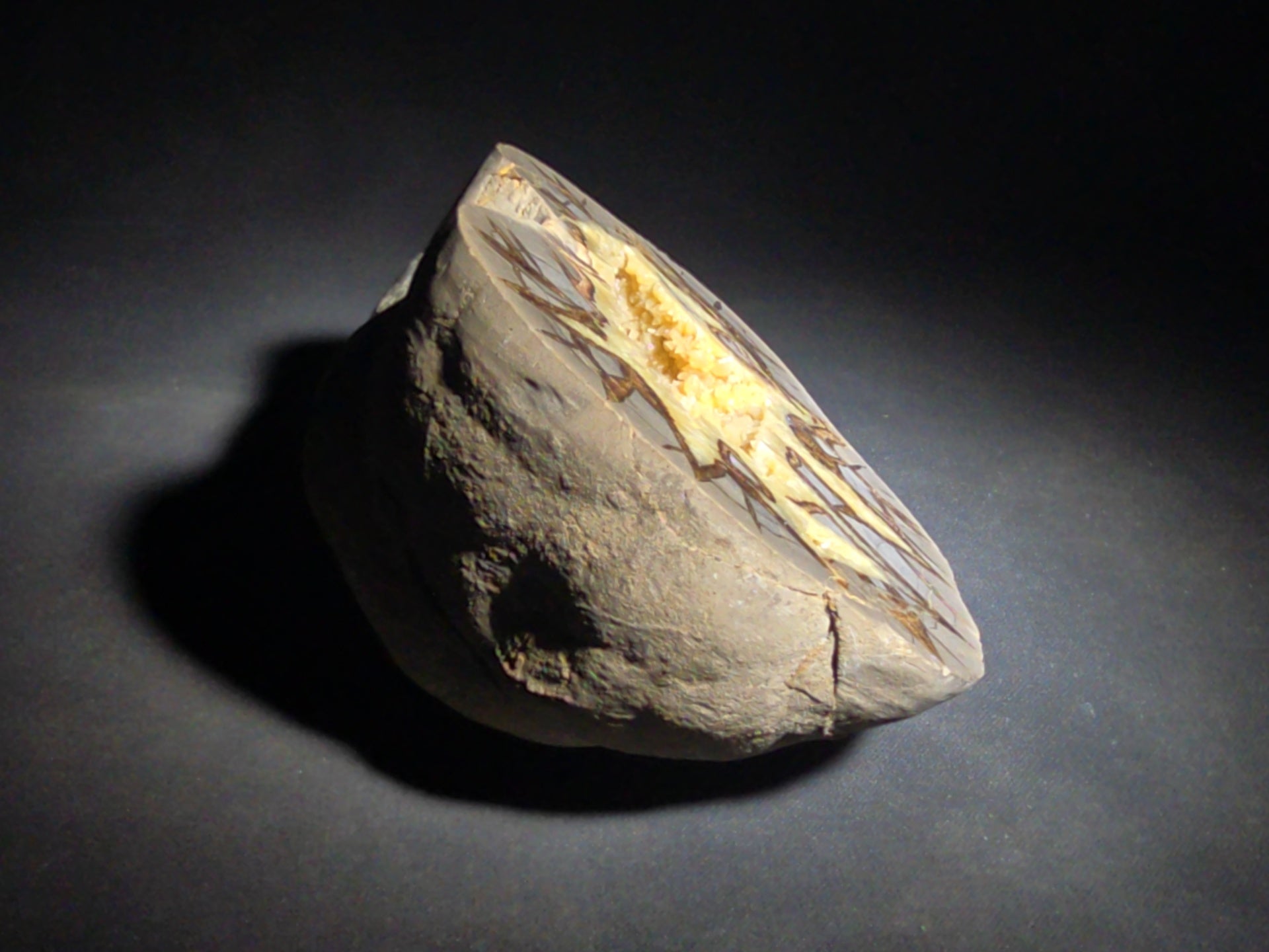Septarian geode Nodule with Calcite Crystal Cavity and Brown Aragonite Veining, Cut and Polished