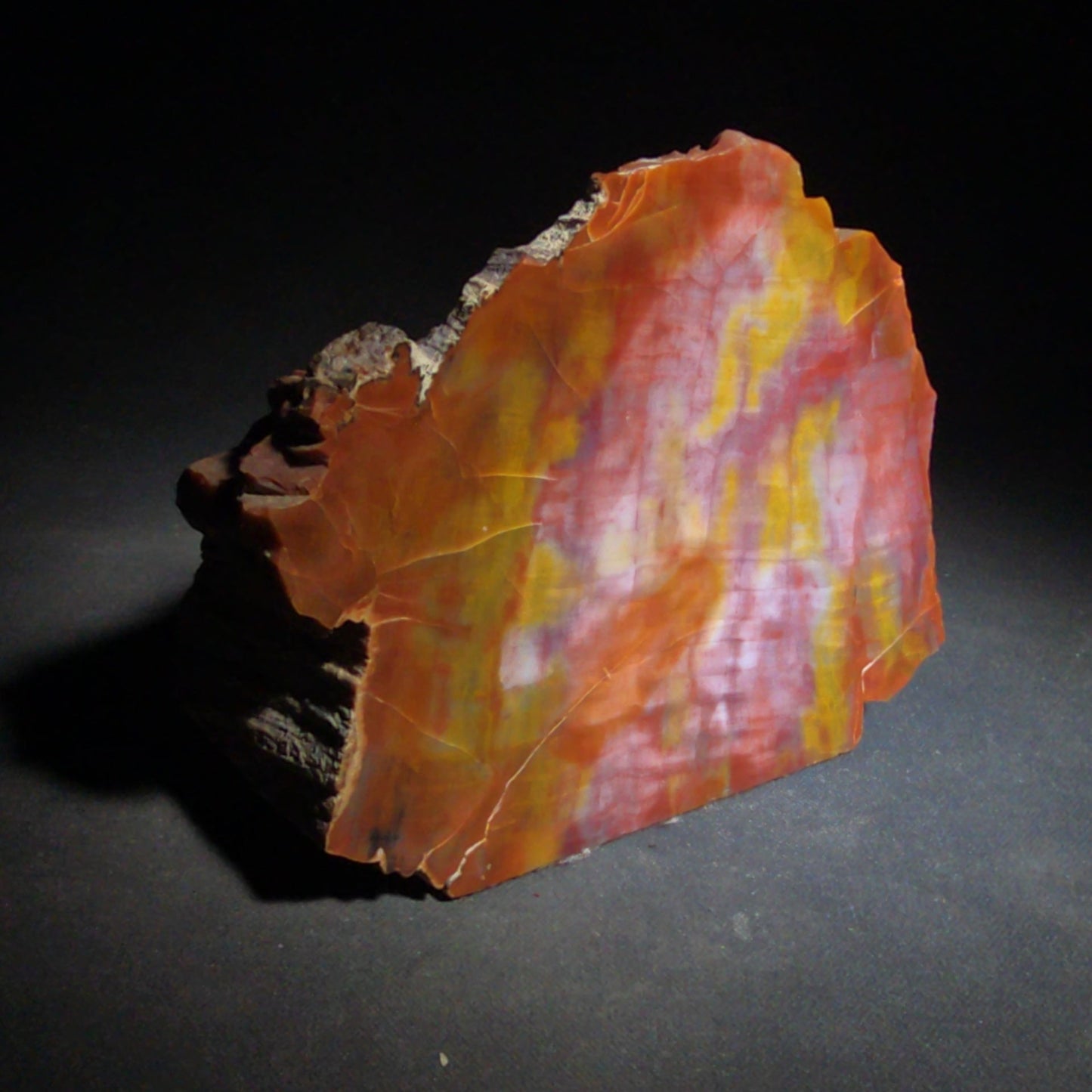 Polished Petrified Wood Specimen with Red, Orange, Yellow, and Pink Coloration