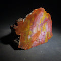 Lot 074 - Polished Petrified Wood Specimen with Red, Orange, Yellow, and Pink Coloration, 6" L