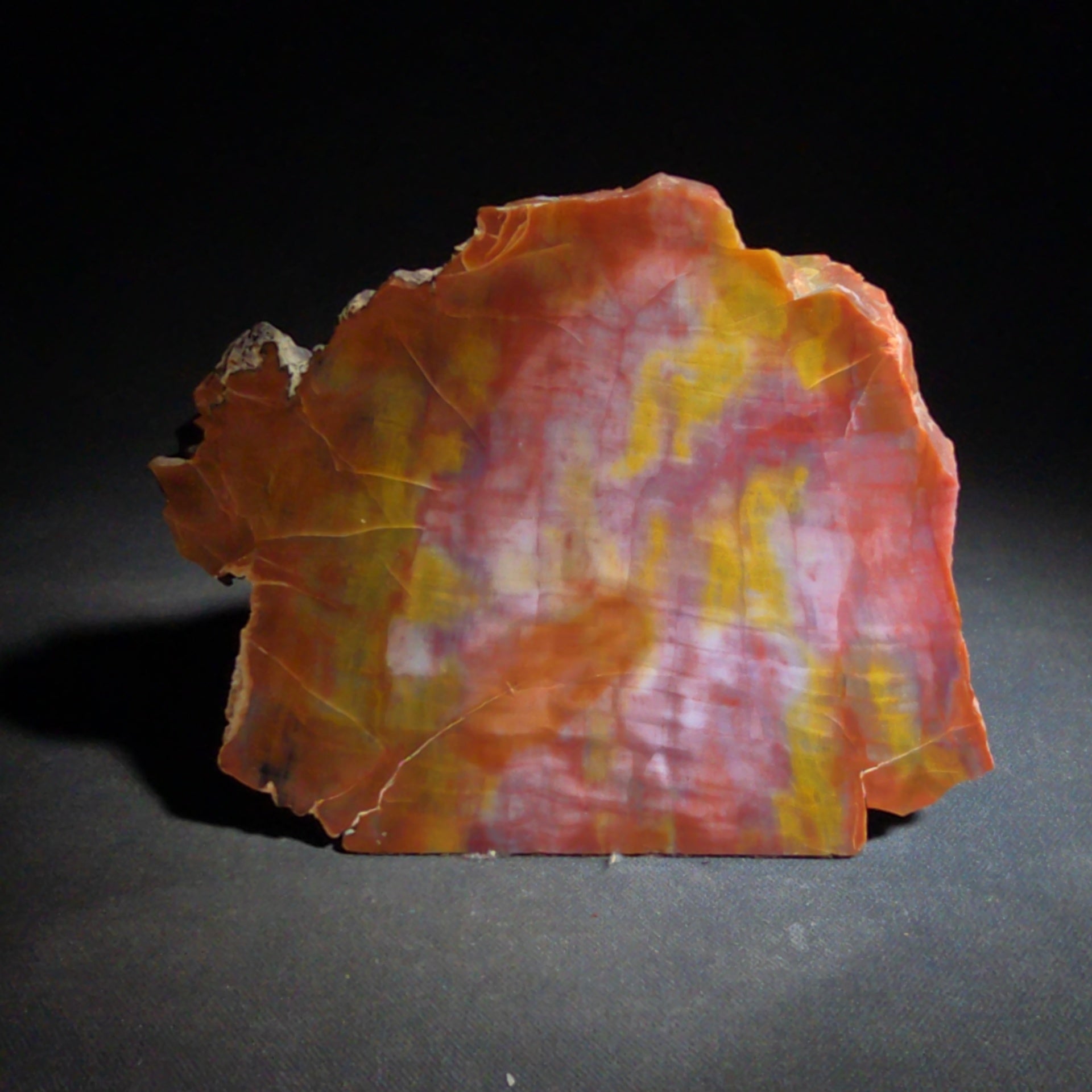Polished Petrified Wood Specimen with Red, Orange, Yellow, and Pink Coloration