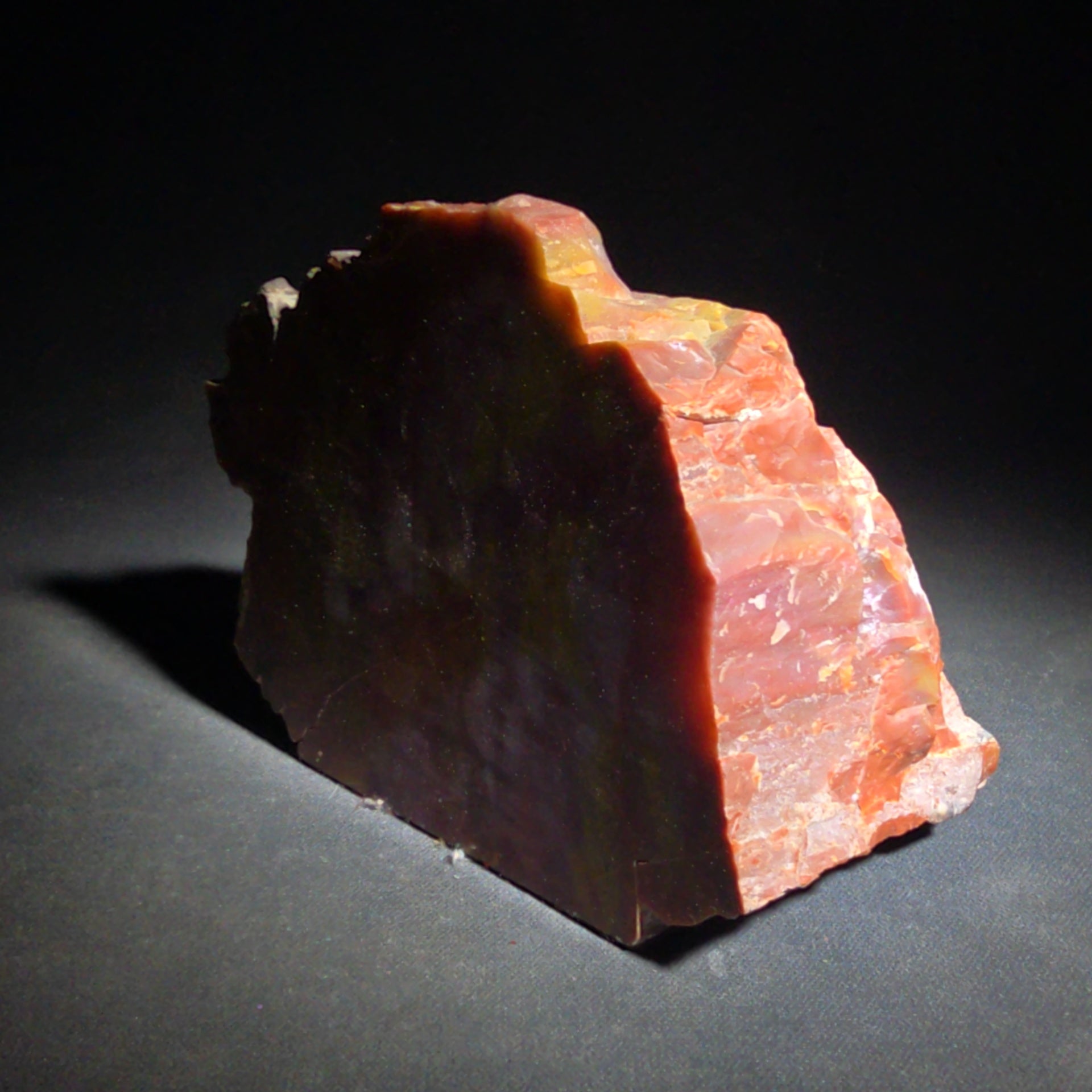 Polished Petrified Wood Specimen with Red, Orange, Yellow, and Pink Coloration