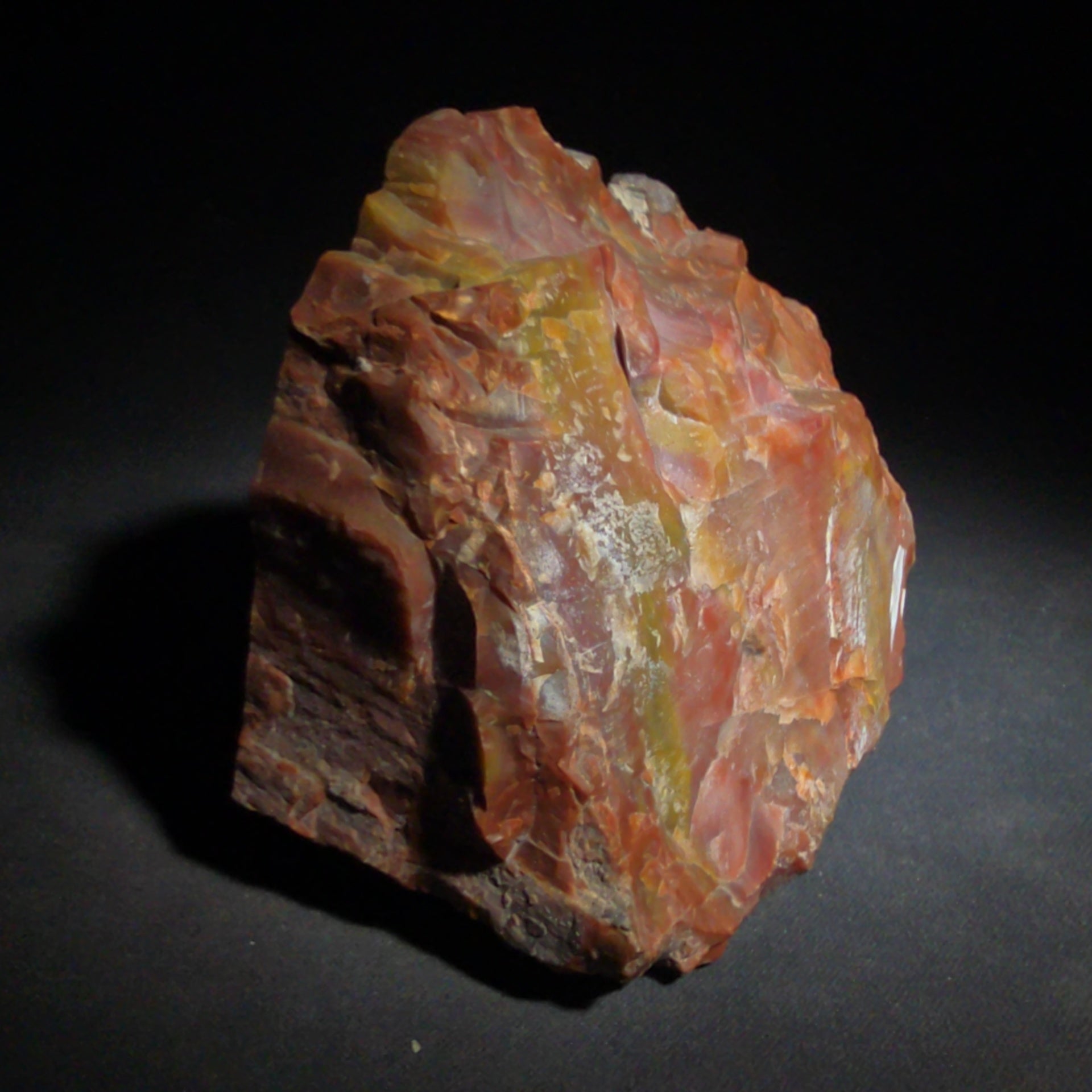 Polished Petrified Wood Specimen with Red, Orange, Yellow, and Pink Coloration