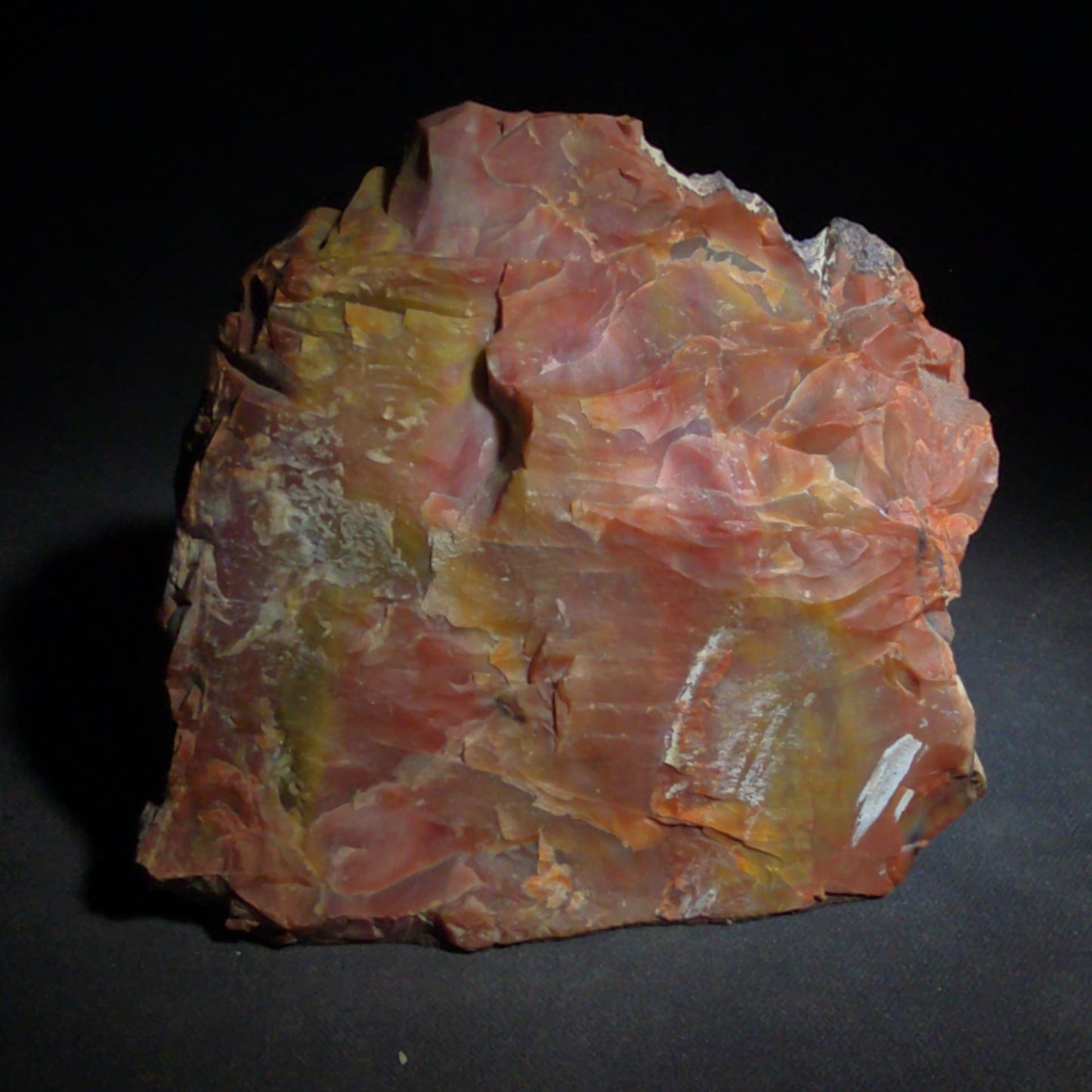 Polished Petrified Wood Specimen with Red, Orange, Yellow, and Pink Coloration