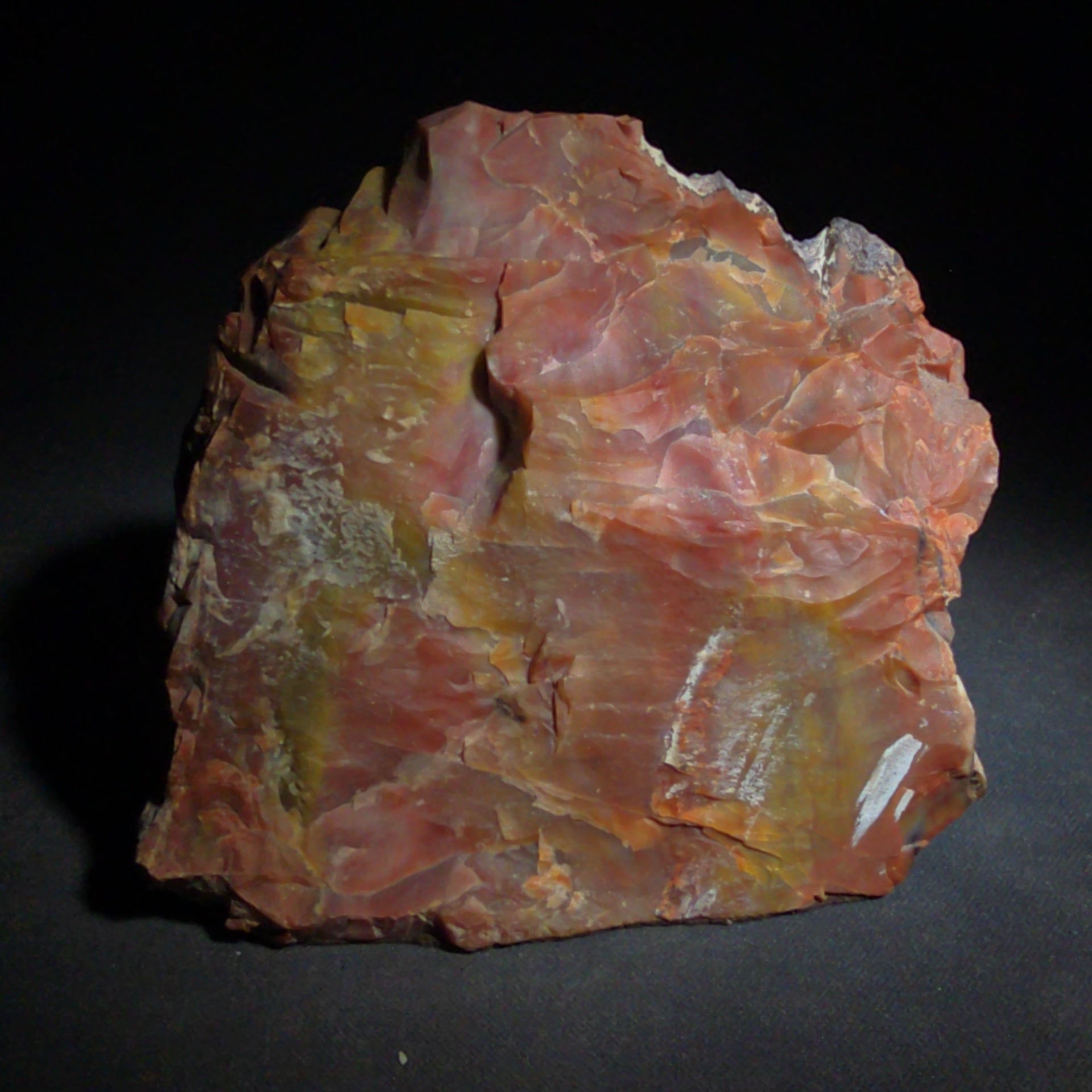 Polished Petrified Wood Specimen with Red, Orange, Yellow, and Pink Coloration