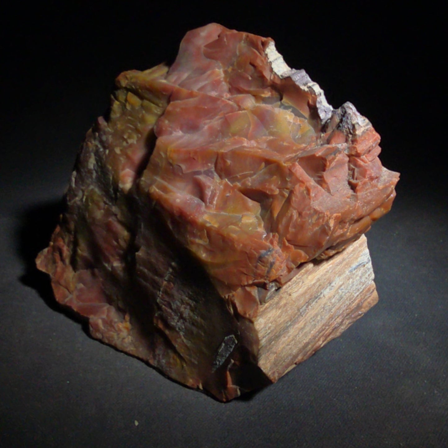 Polished Petrified Wood Specimen with Red, Orange, Yellow, and Pink Coloration