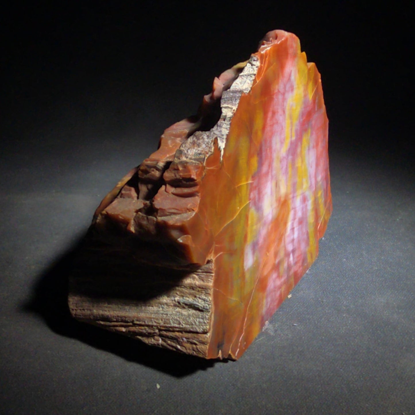 Polished Petrified Wood Specimen with Red, Orange, Yellow, and Pink Coloration