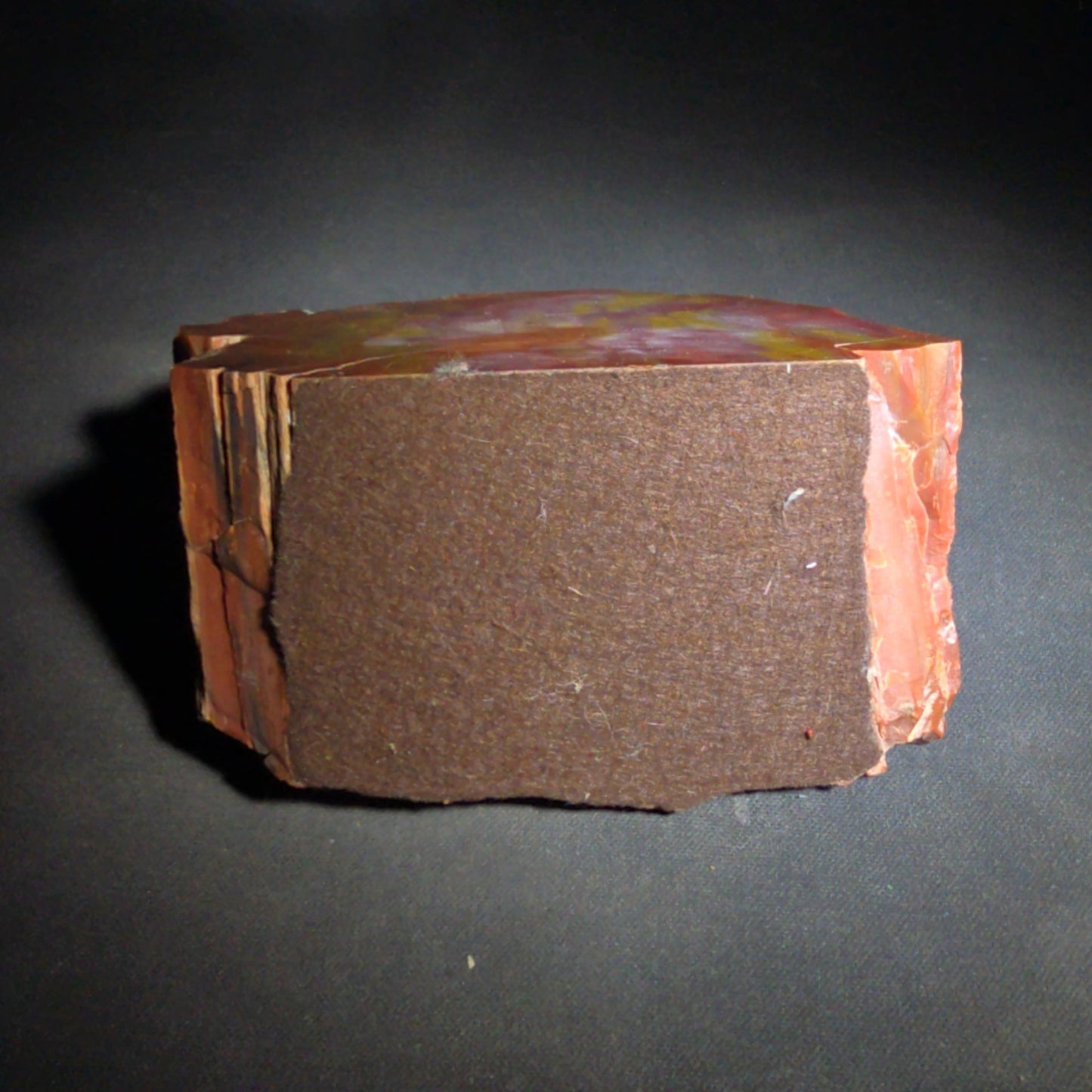 Polished Petrified Wood Specimen with Red, Orange, Yellow, and Pink Coloration