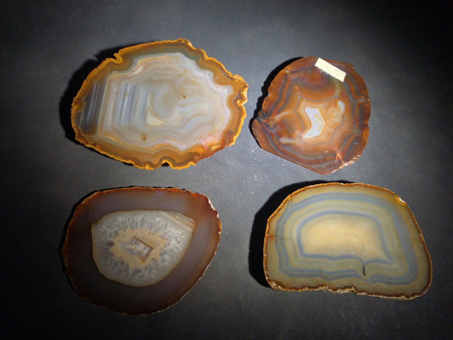 Grouping of Four Polished Agate Slices with Banded Patterns