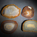 Lot 077 - Grouping of Four Polished Agate Slices with Banded Patterns