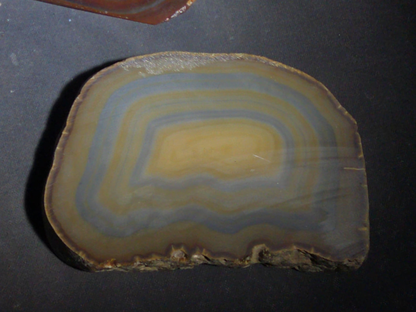 Grouping of Four Polished Agate Slices with Banded Patterns