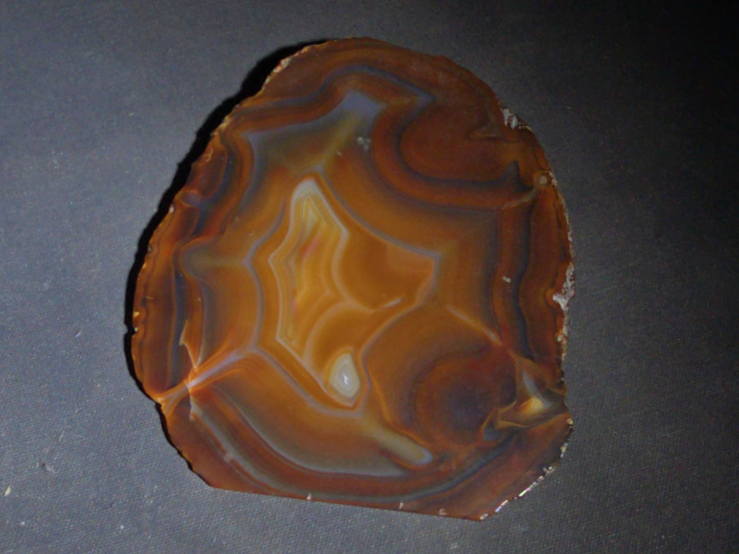 Grouping of Four Polished Agate Slices with Banded Patterns