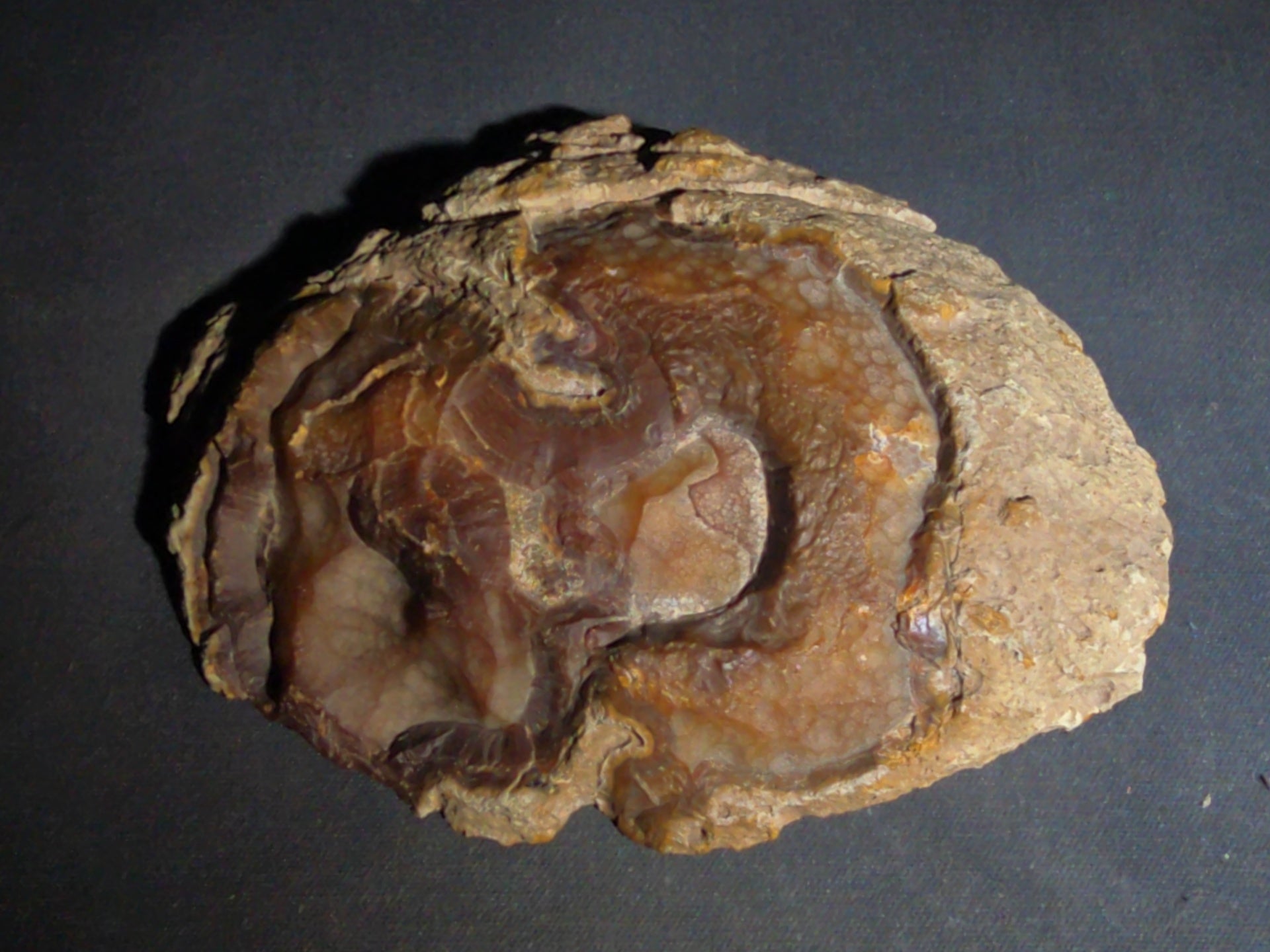 Grouping of Four Polished Agate Slices with Banded Patterns