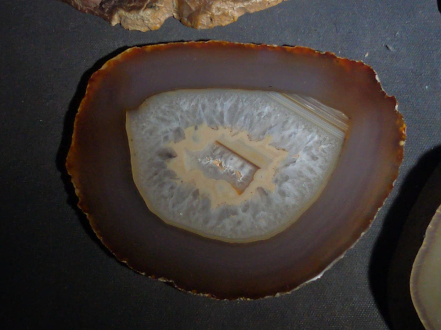 Grouping of Four Polished Agate Slices with Banded Patterns