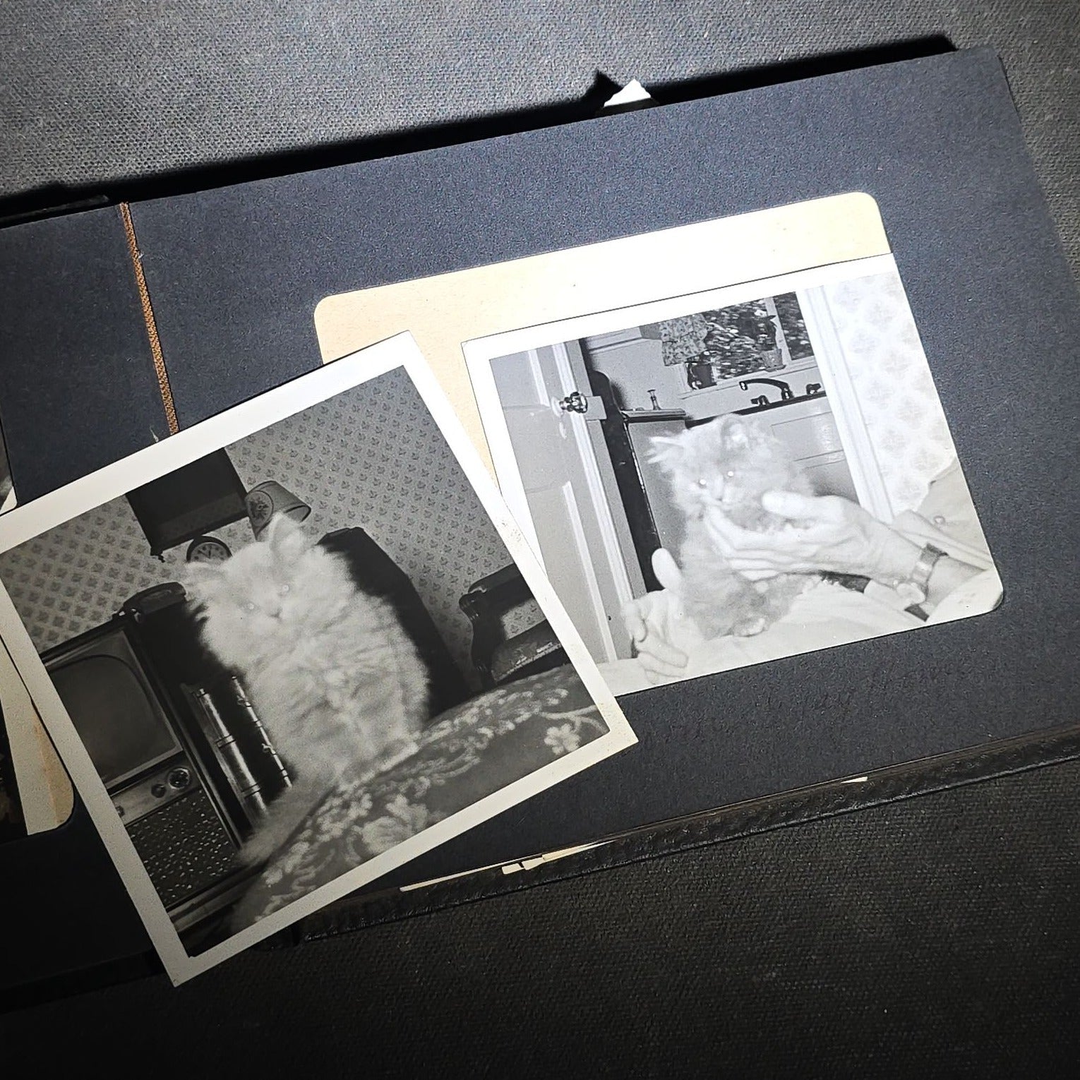 Vintage Photo Album Containing 30+ Snapshot Photographs including Soldier at Stonehenge, Cats, Military Subjects, and May Day