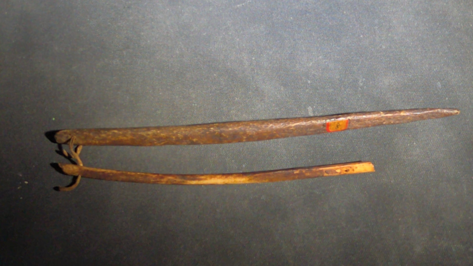 Grouping of 10 Antique Native American Carved Bone Implements including Incised and Relief-Carved Examples with Leather Ties and Drilled Holes