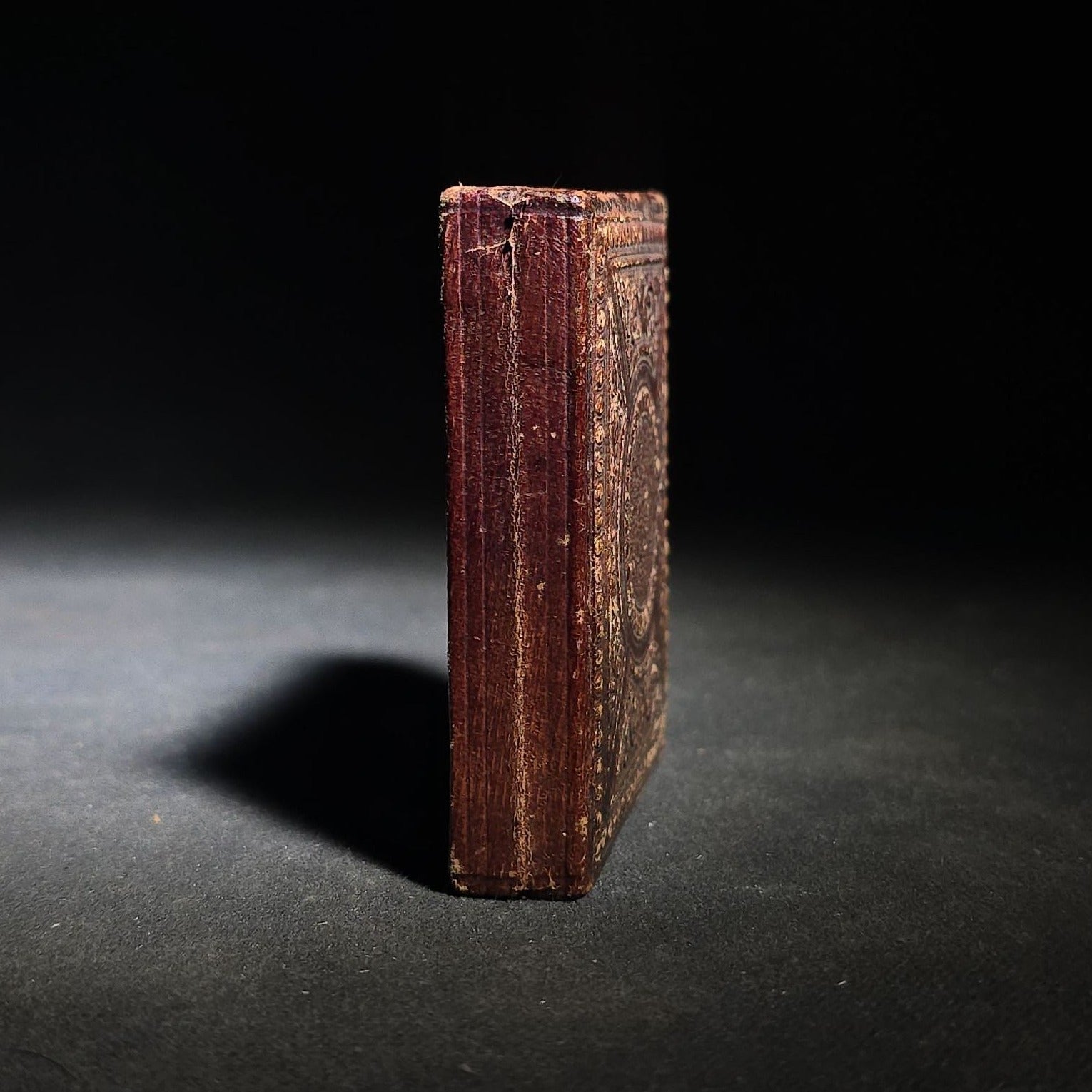 Antique 1/9th Plate Daguerreotype Photograph of a Young Man in a Dark Coat, Photographed by Tyler & Co., in Full Intact Leatherette Case