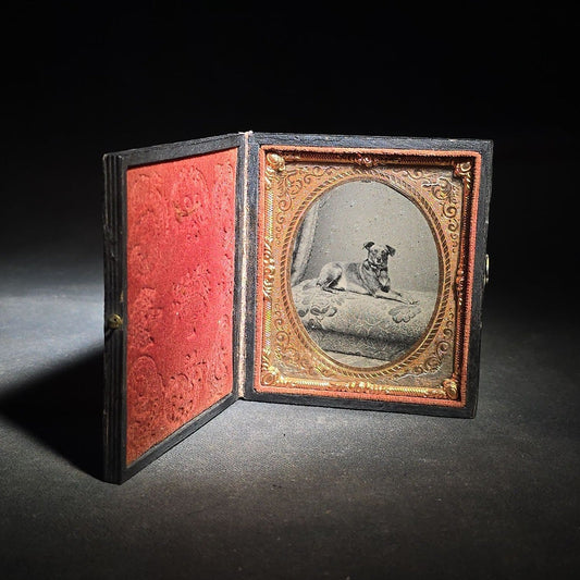 Antique 1/6th Plate Tintype Photograph of a Dog Reclining on a Cushion in Full Leatherette Union Case with Repaired Spine