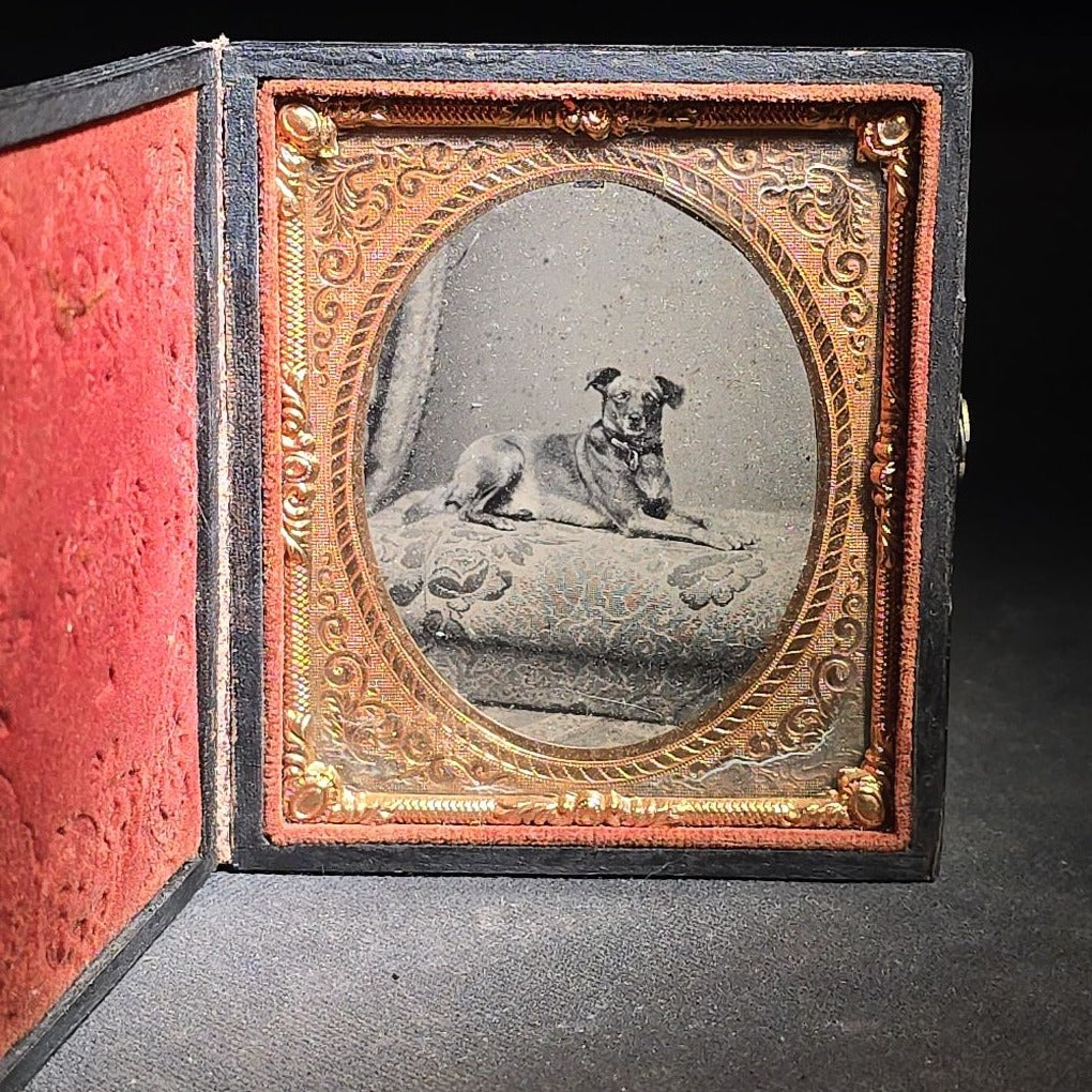 Antique 1/6th Plate Tintype Photograph of a Dog Reclining on a Cushion in Full Leatherette Union Case with Repaired Spine
