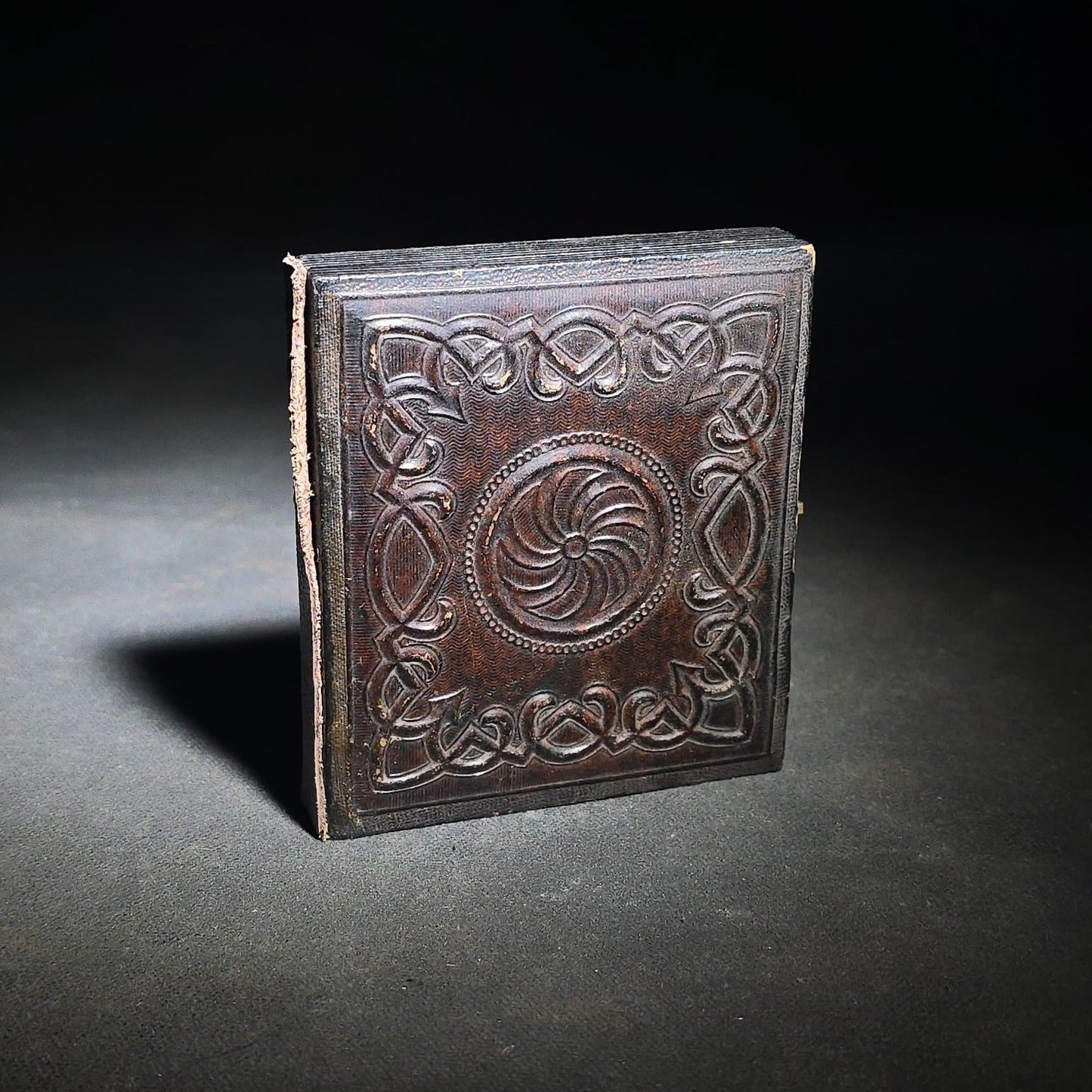 Antique 1/6th Plate Tintype Photograph of a Dog Reclining on a Cushion in Full Leatherette Union Case with Repaired Spine