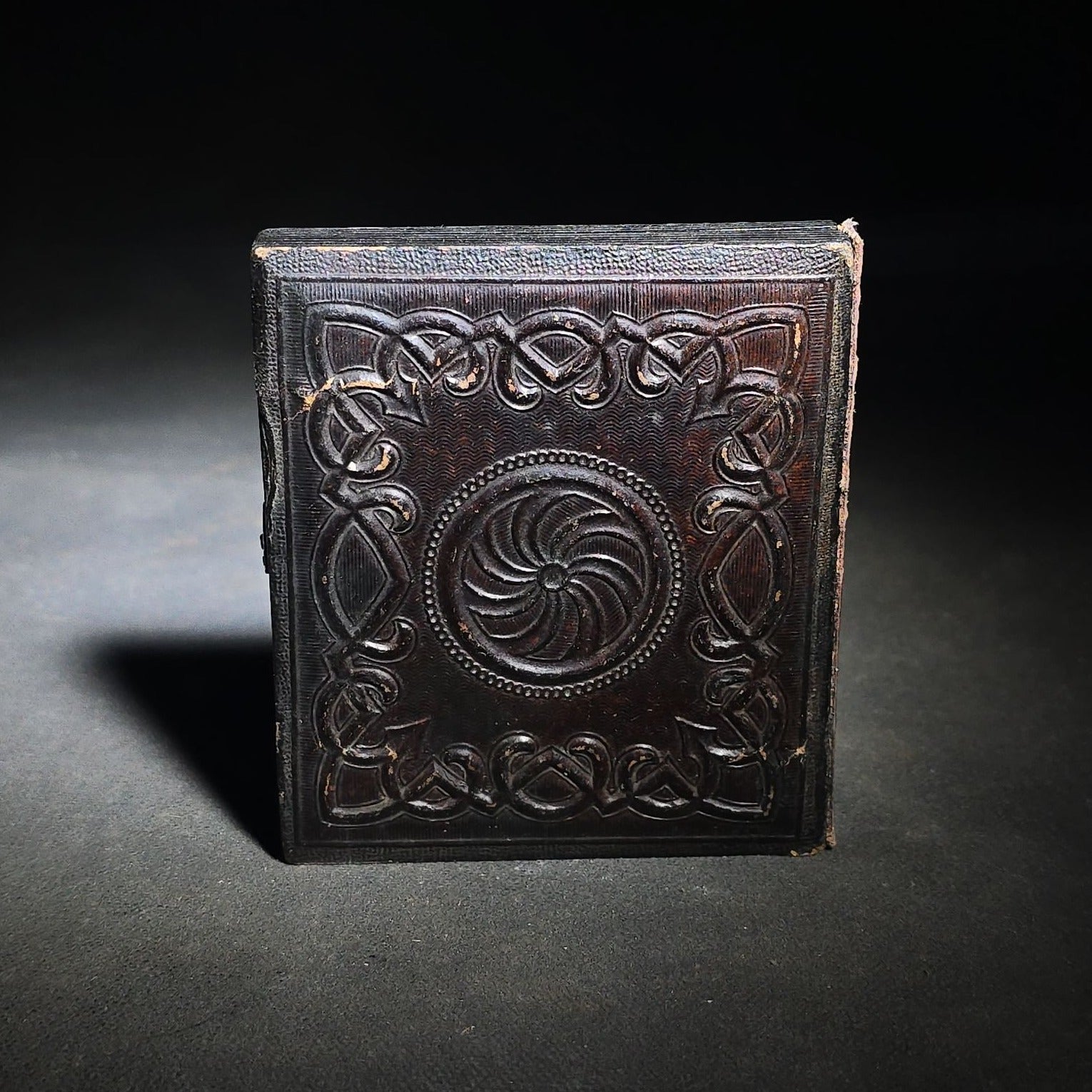 Antique 1/6th Plate Tintype Photograph of a Dog Reclining on a Cushion in Full Leatherette Union Case with Repaired Spine