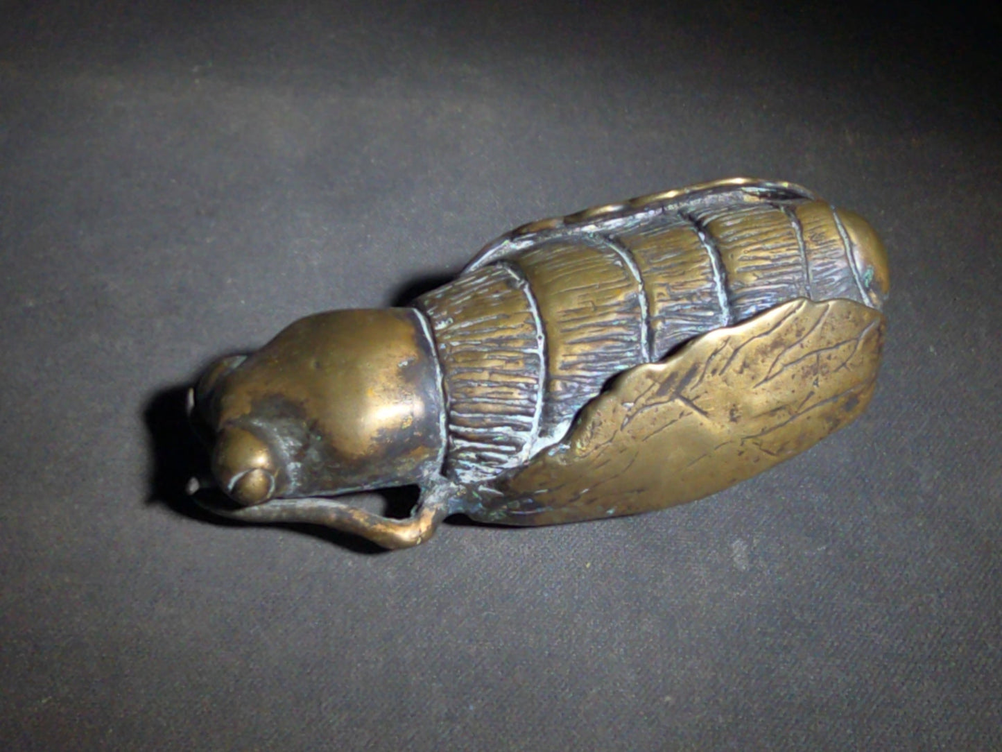 Vintage Bronze Fly Sculpture, Signed Arthur Hacker