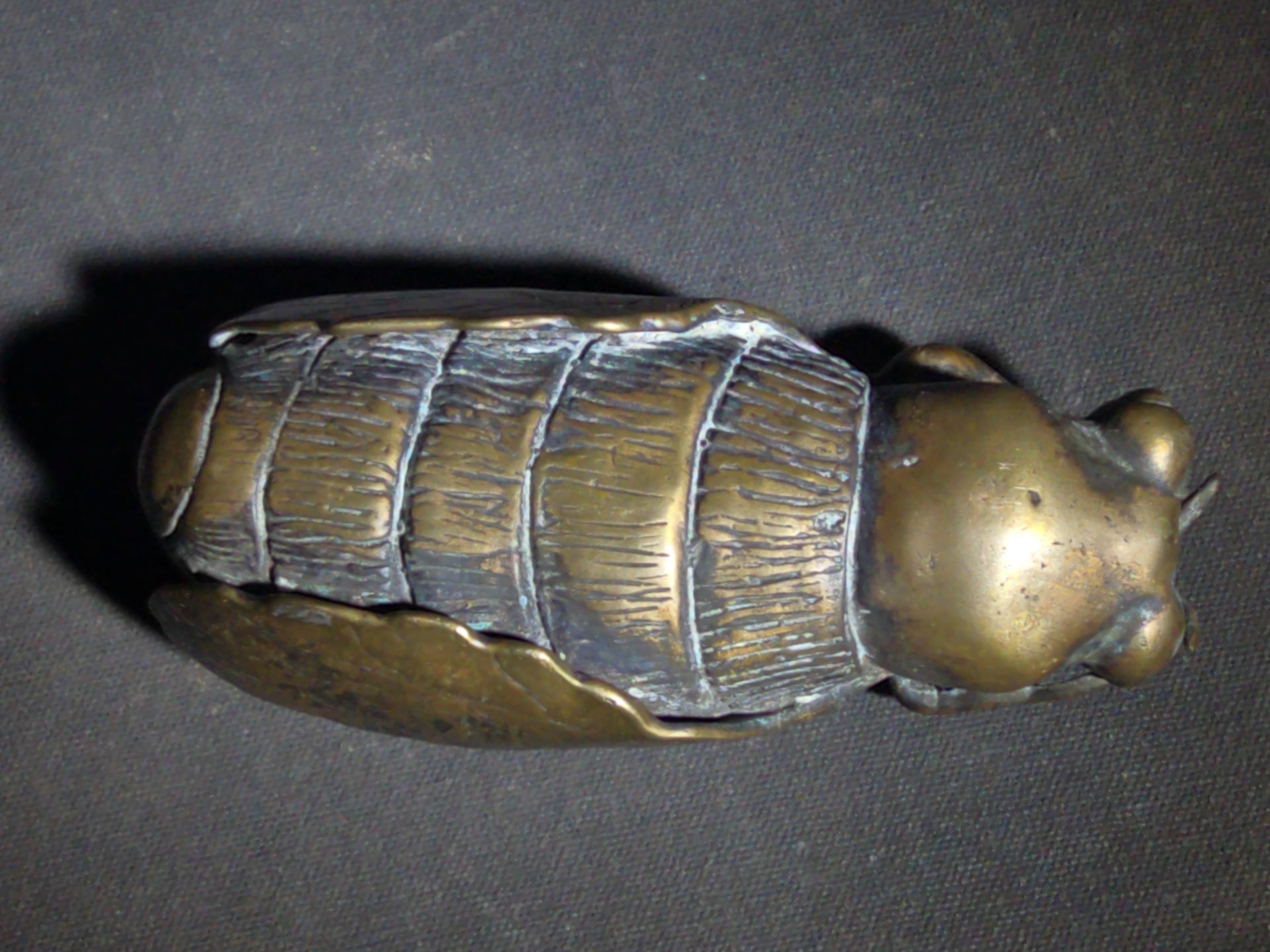 Vintage Bronze Fly Sculpture, Signed Arthur Hacker