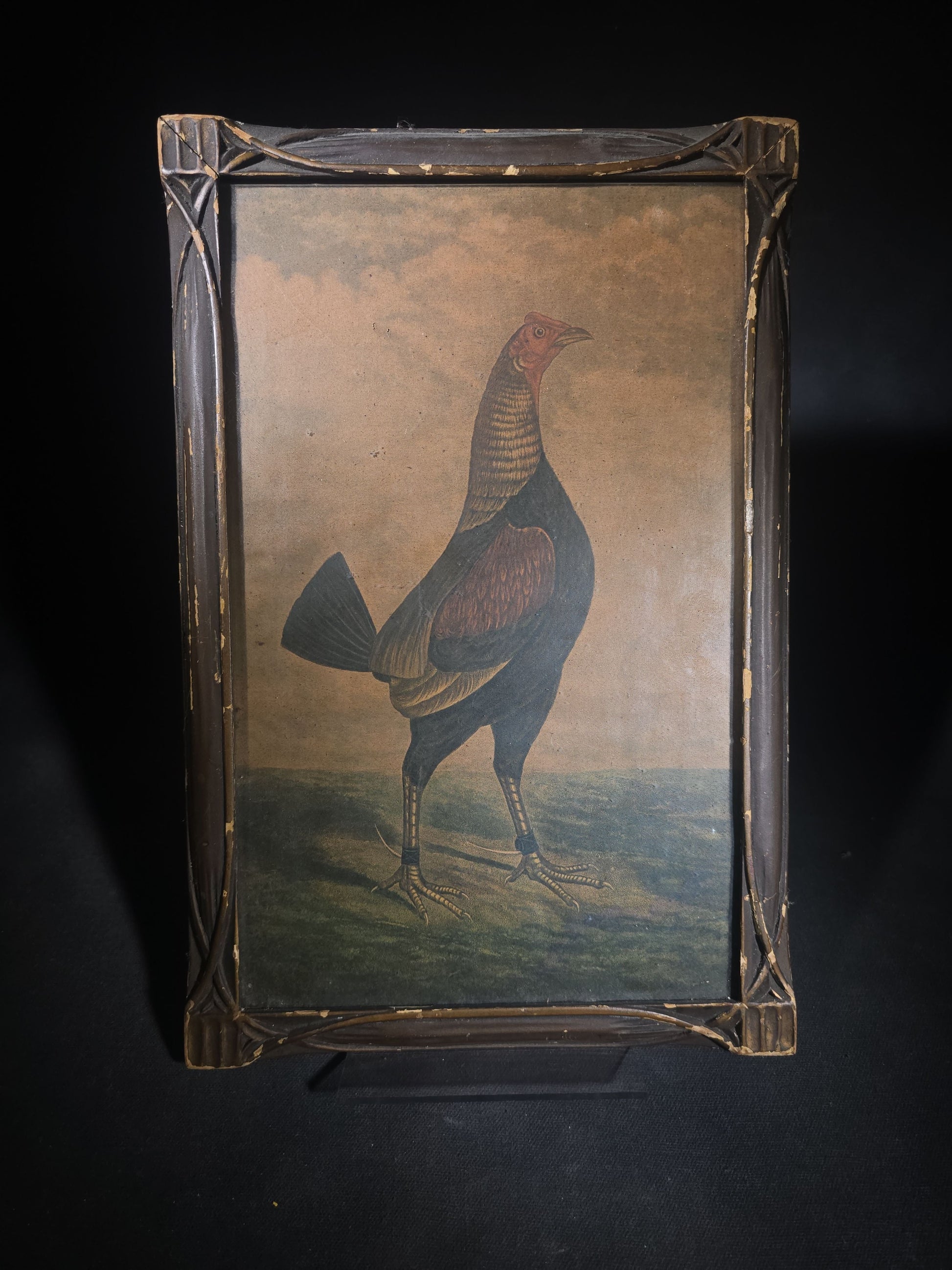 Antique Framed Chromolithograph Print of a Dubbed Cockfighting Gamecock Rooster in Landscape