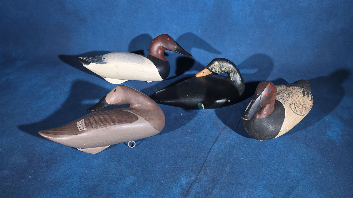 Grouping of Four Vintage Hand-Carved and Hand-Painted Duck Decoys including Canvasback Signed Capt. Harry R. Jobes and Scoter Carved J.H. Whitney