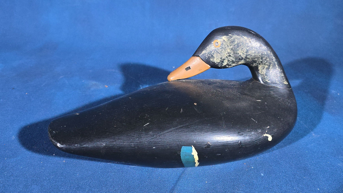 Grouping of Four Vintage Hand-Carved and Hand-Painted Duck Decoys including Canvasback Signed Capt. Harry R. Jobes and Scoter Carved J.H. Whitney