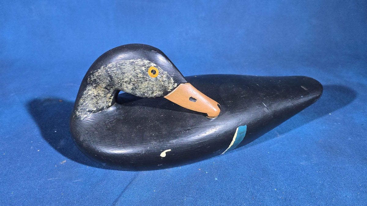 Grouping of Four Vintage Hand-Carved and Hand-Painted Duck Decoys including Canvasback Signed Capt. Harry R. Jobes and Scoter Carved J.H. Whitney
