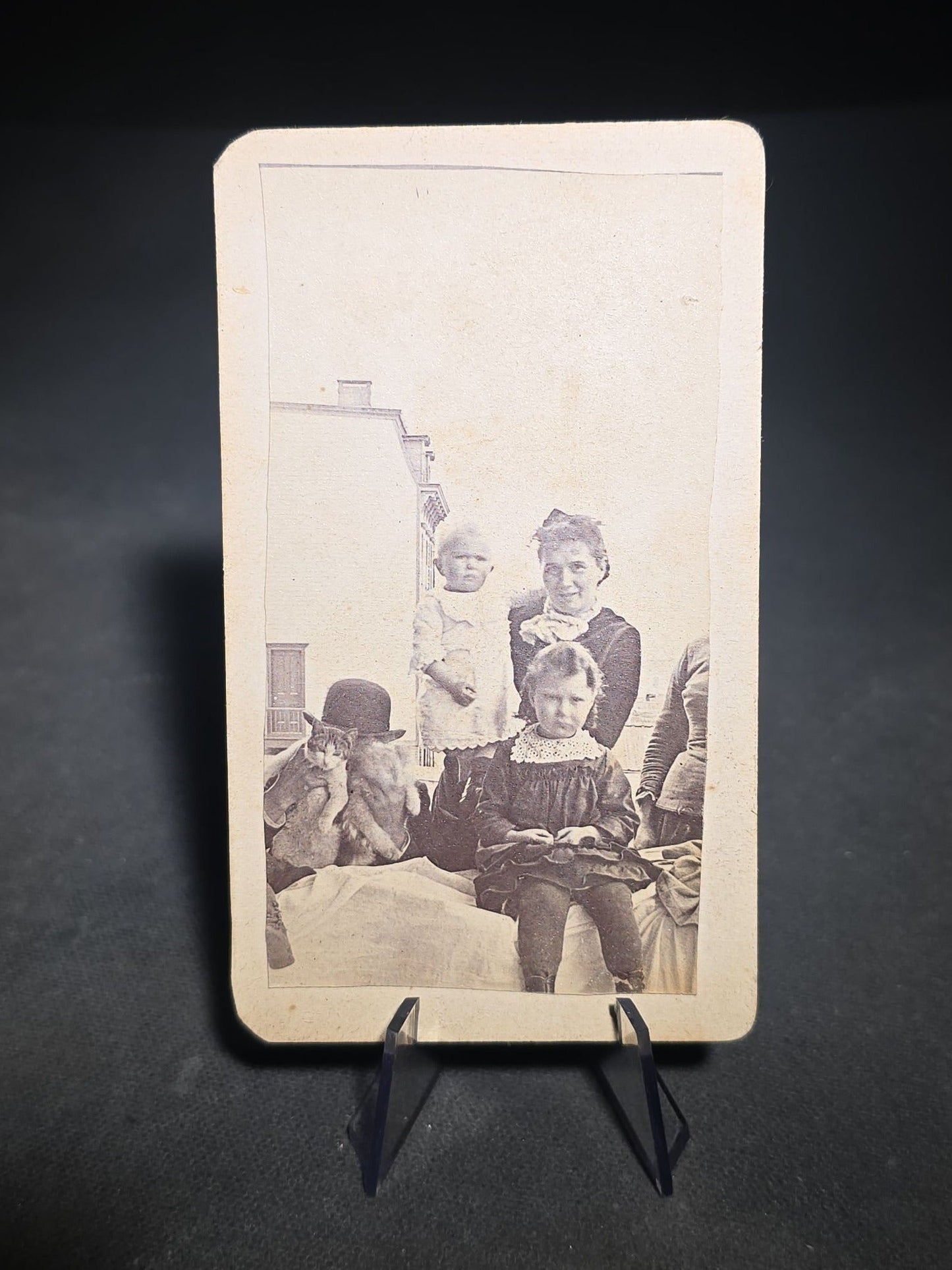 Grouping of Four Antique and Vintage Photographs including C.D.V. Family Portrait with Cat, WWI Soldier R.P.P.C., Board-Mounted Musicians with Violin and Banjo, and Snapshot of Child Cowboy