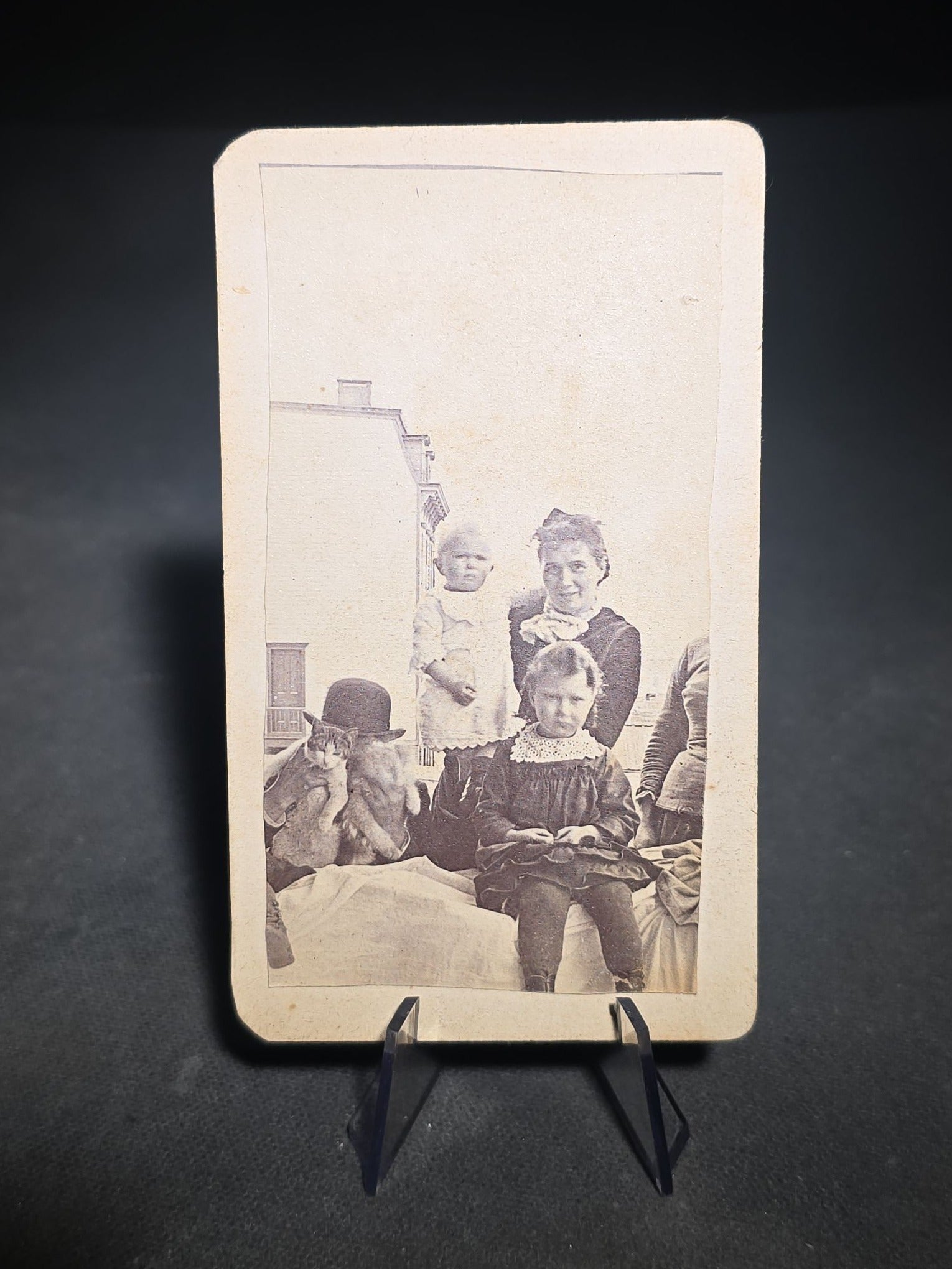 Grouping of Four Antique and Vintage Photographs including C.D.V. Family Portrait with Cat, WWI Soldier R.P.P.C., Board-Mounted Musicians with Violin and Banjo, and Snapshot of Child Cowboy