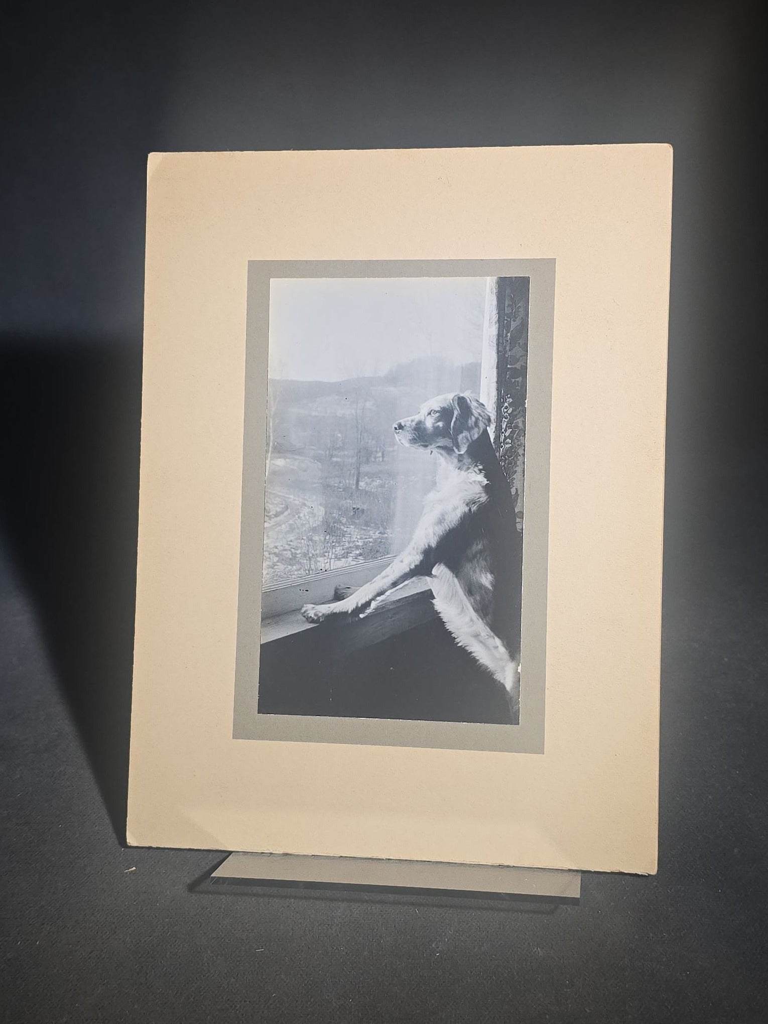 Grouping of Five Antique and Vintage Board-Mounted Photographs including Boy Holding a Box Camera, Two Men in Uniform, Family Eating Watermelon, and Dog Looking Out a Window, One Photographed by Rogers, New Haven, Connecticut