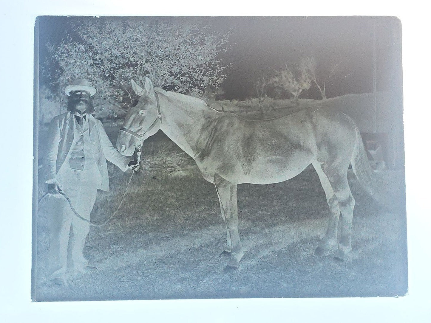 Grouping of 10 Antique Glass Plate Photographic Negatives in Cramer's Lightning Photo Dry Plates Box including Town Street Views, Man with Horse, and Residential Exteriors