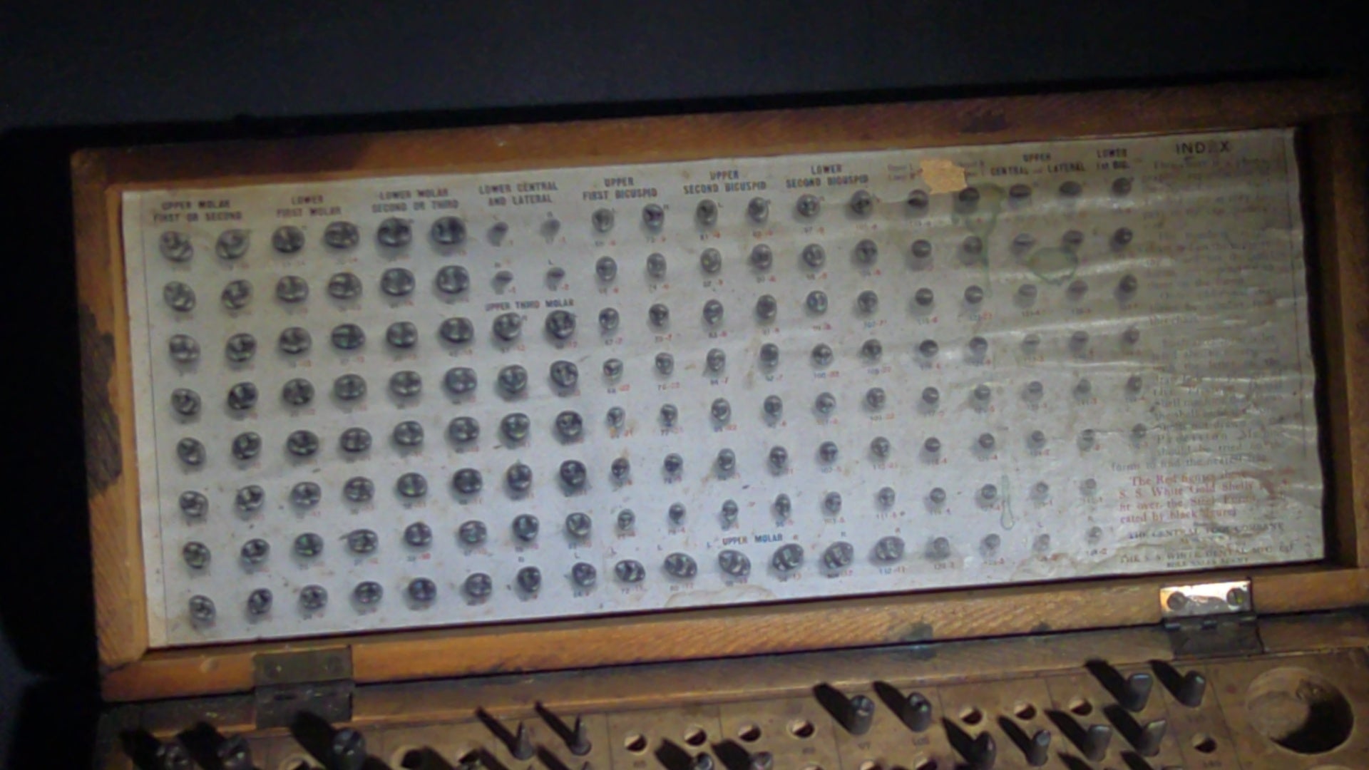 Antique S.S. White Dental Mfg. Co. Steel Tooth Die Set in Wooden Case with Indexed Chart