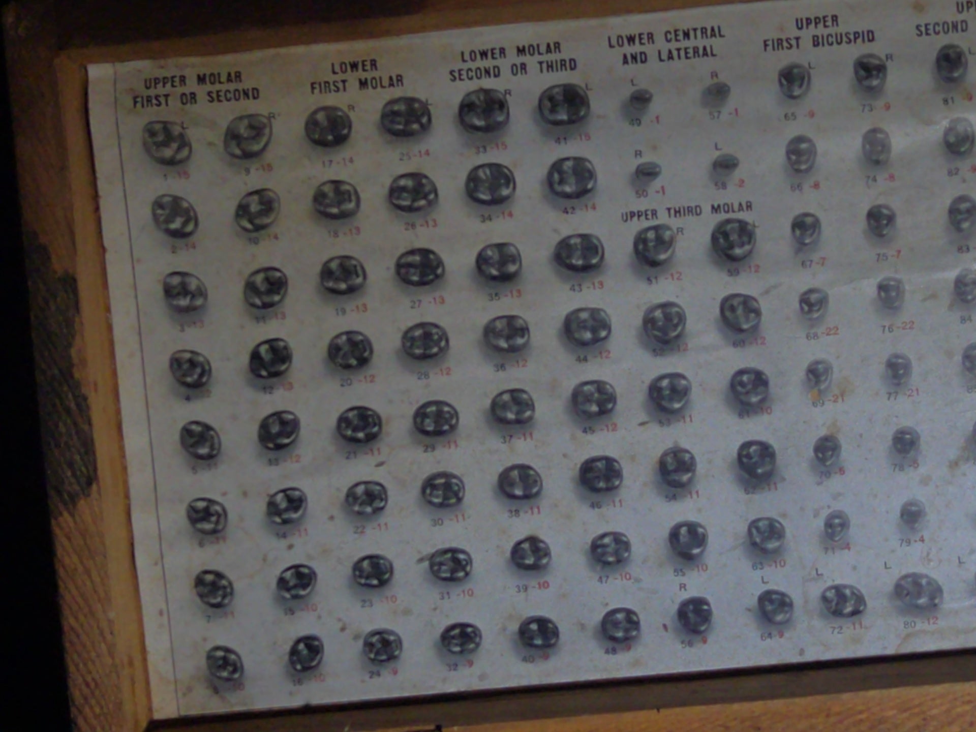 Antique S.S. White Dental Mfg. Co. Steel Tooth Die Set in Wooden Case with Indexed Chart