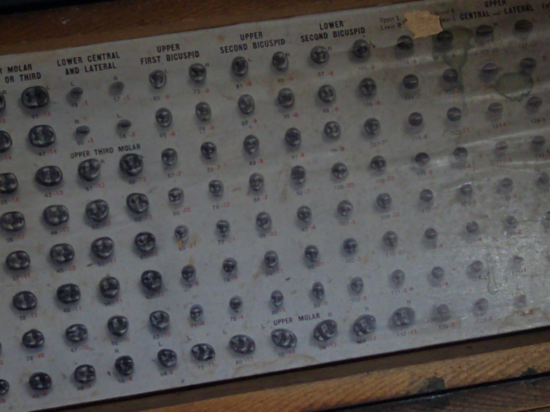 Antique S.S. White Dental Mfg. Co. Steel Tooth Die Set in Wooden Case with Indexed Chart