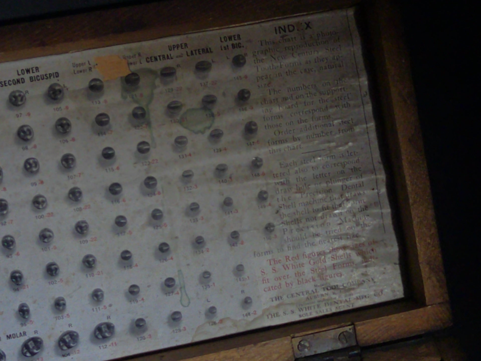 Antique S.S. White Dental Mfg. Co. Steel Tooth Die Set in Wooden Case with Indexed Chart