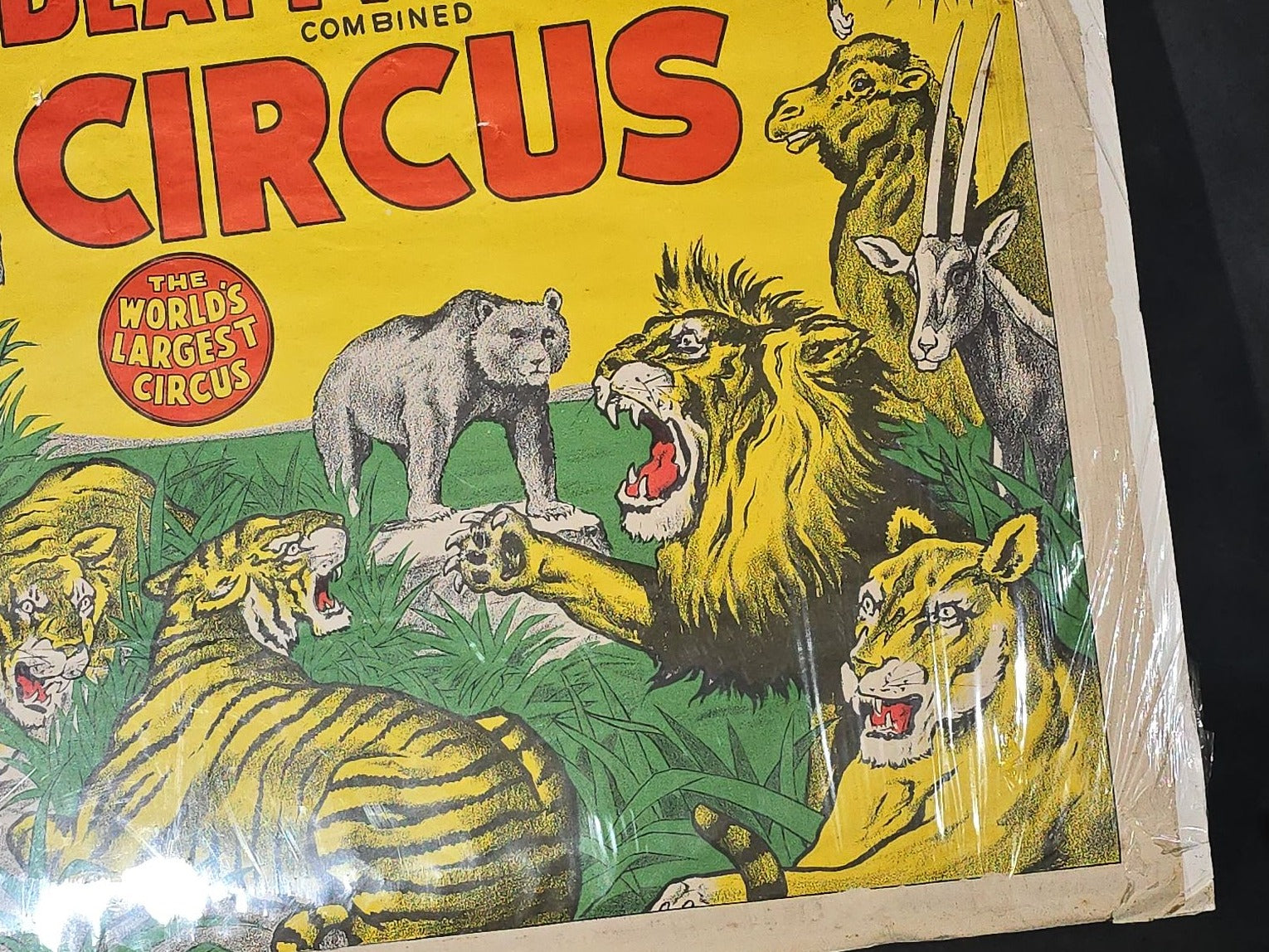 Vintage Clyde Beatty-Cole Bros. Combined Circus Paper Poster with Wild Animal Menagerie Graphics, "The World's Largest Circus"
